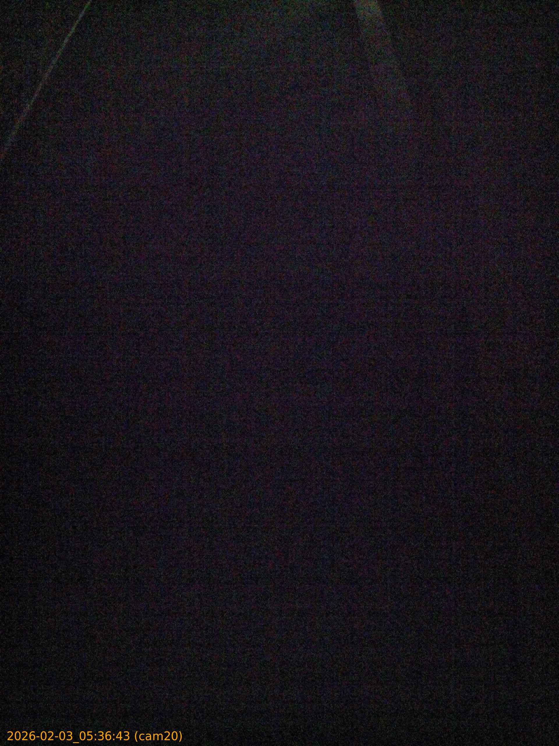 thumbnail_20260203053643