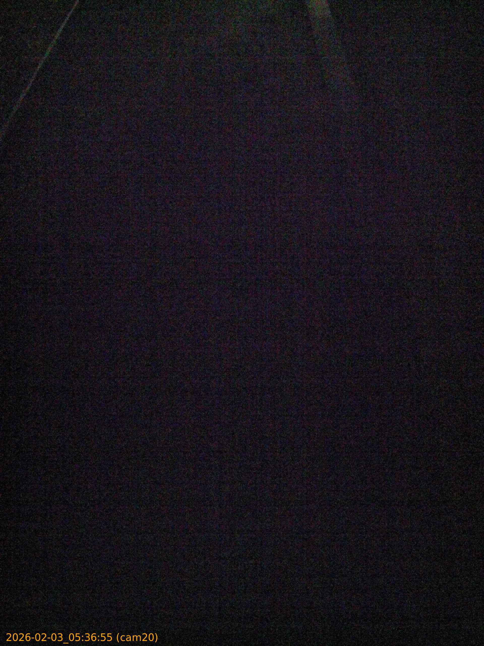 thumbnail_20260203053655