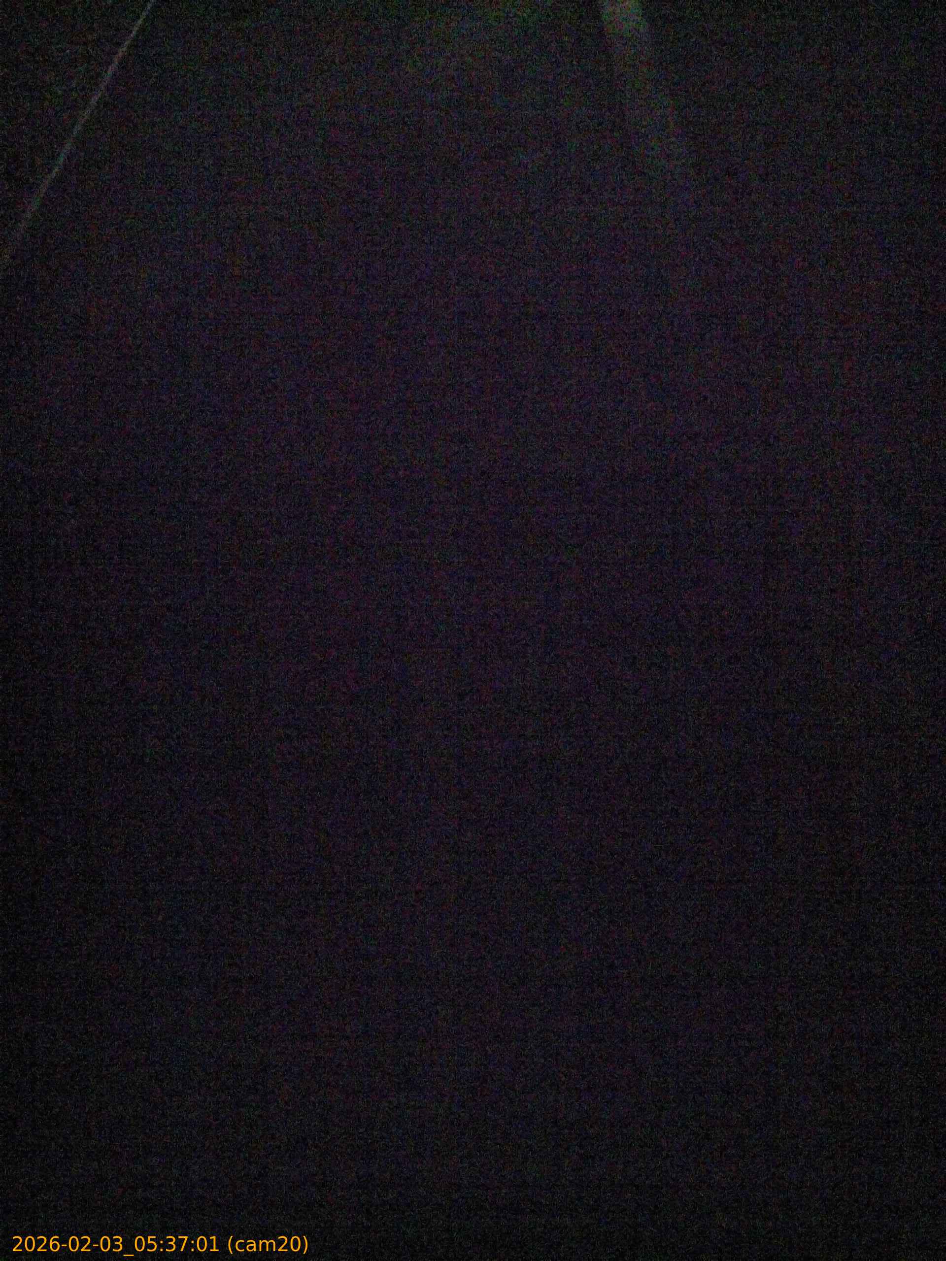 thumbnail_20260203053701