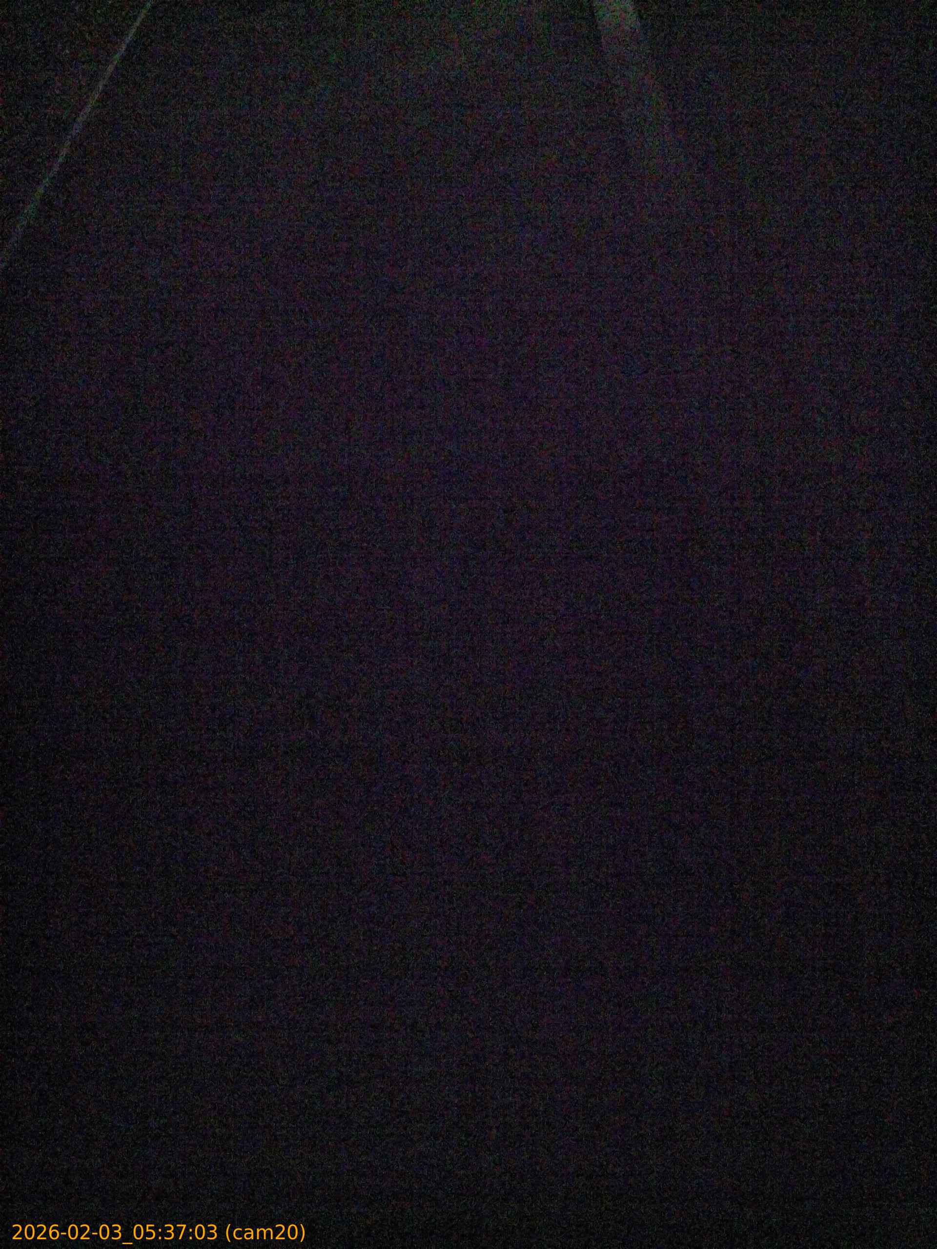 thumbnail_20260203053703