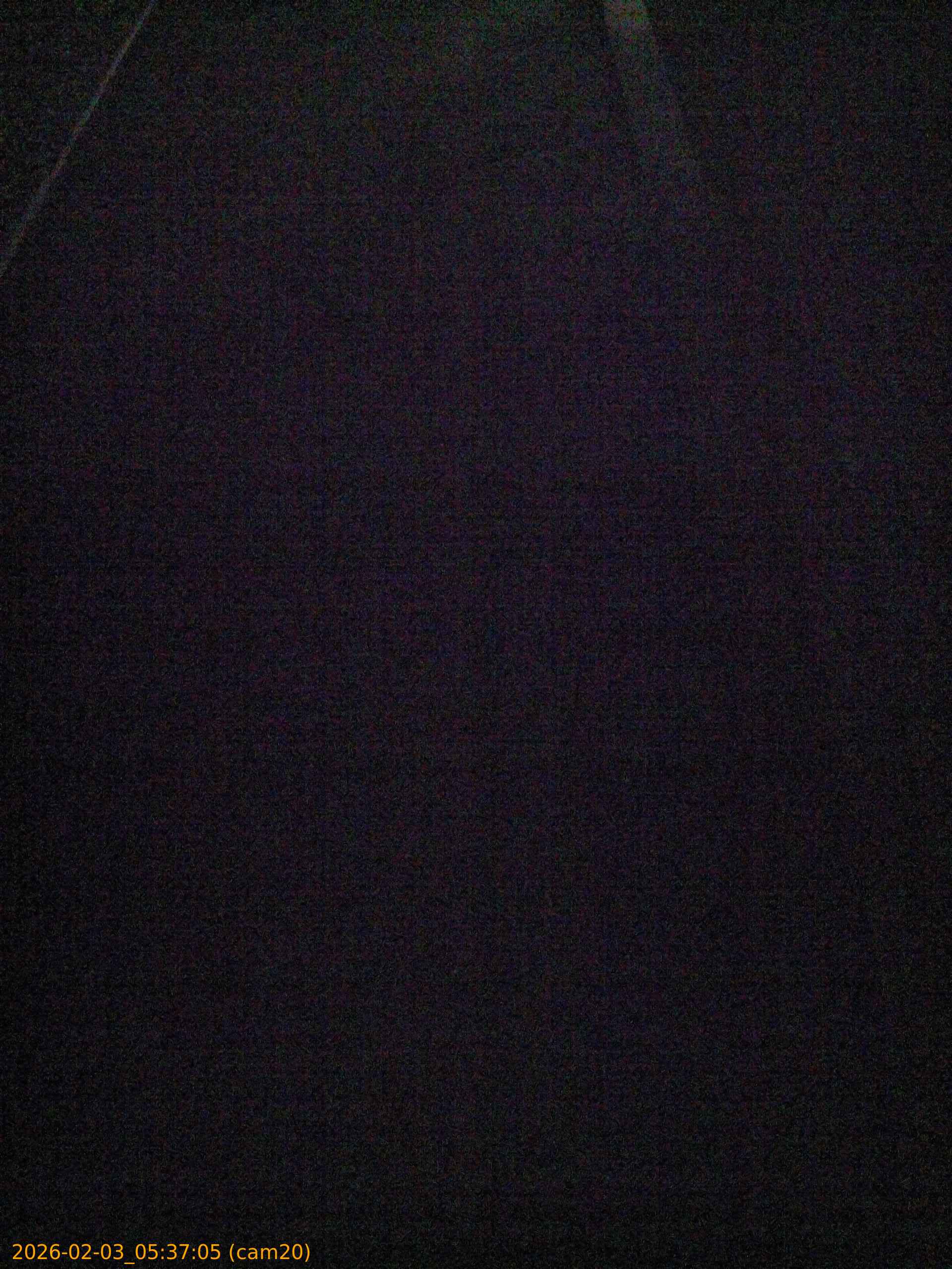 thumbnail_20260203053705