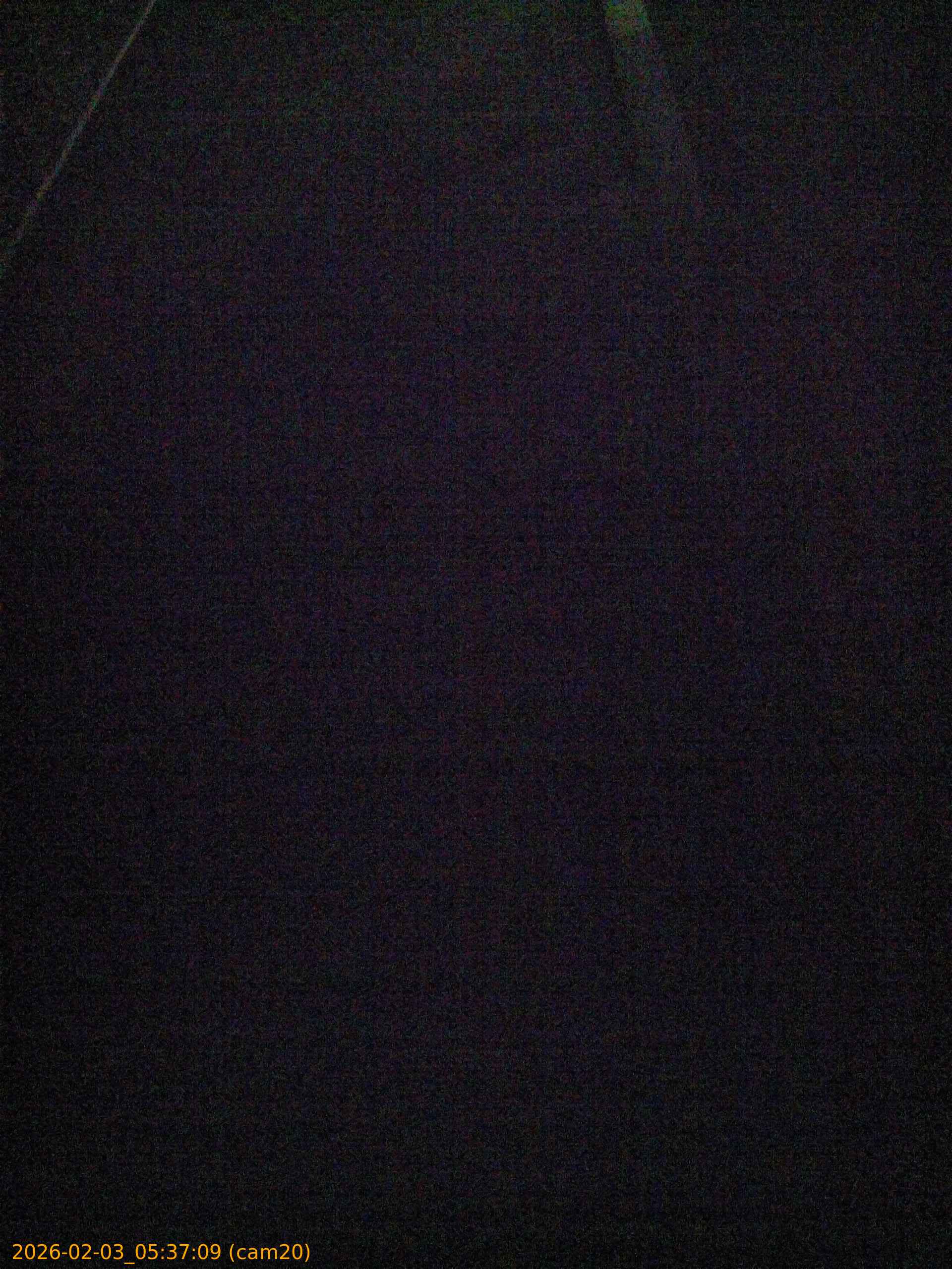 thumbnail_20260203053709