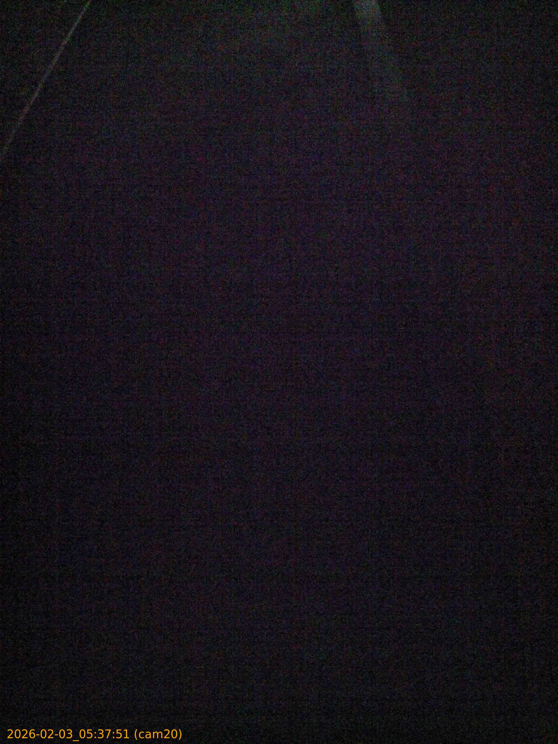 thumbnail_20260203053751