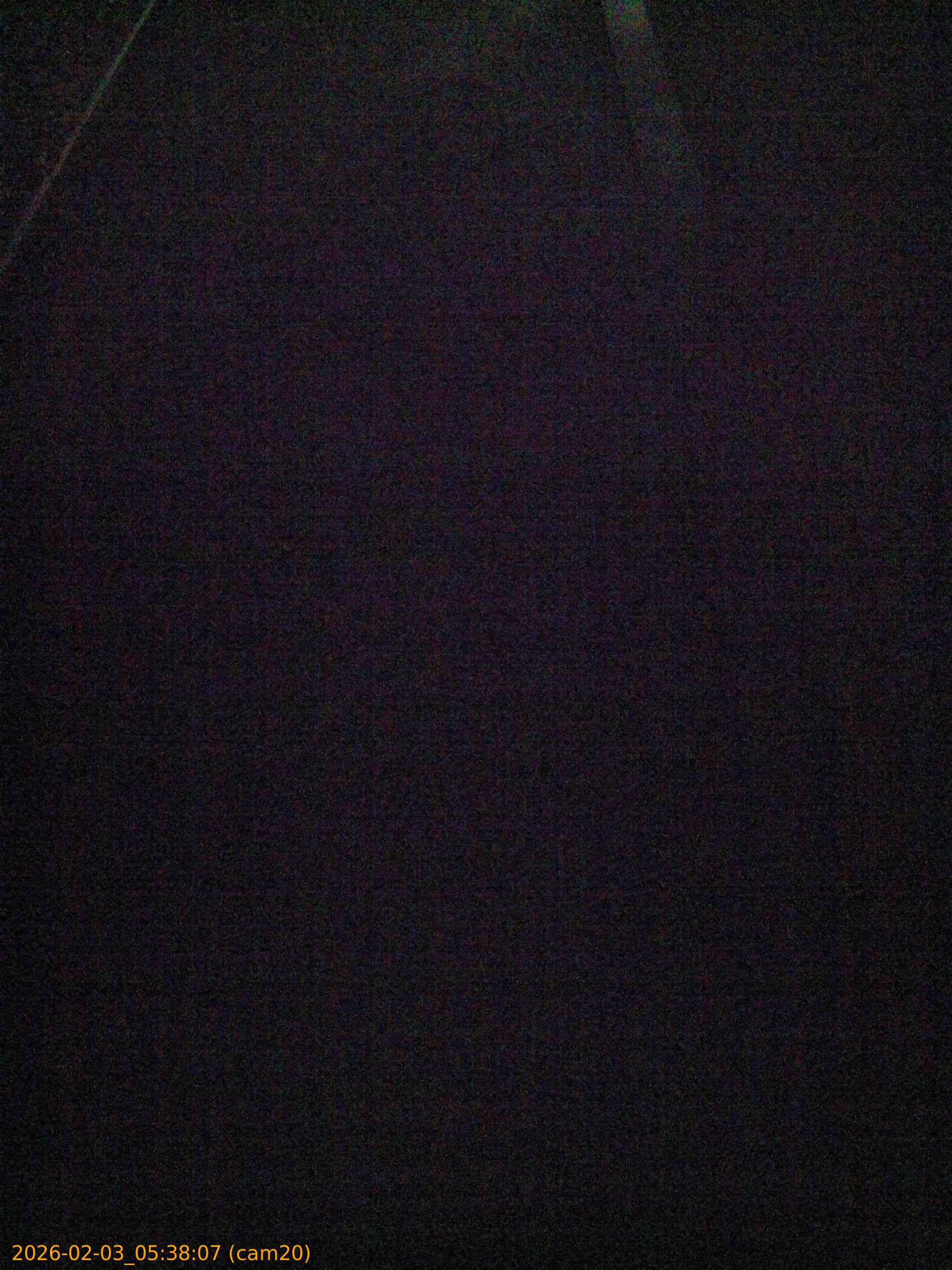 thumbnail_20260203053807