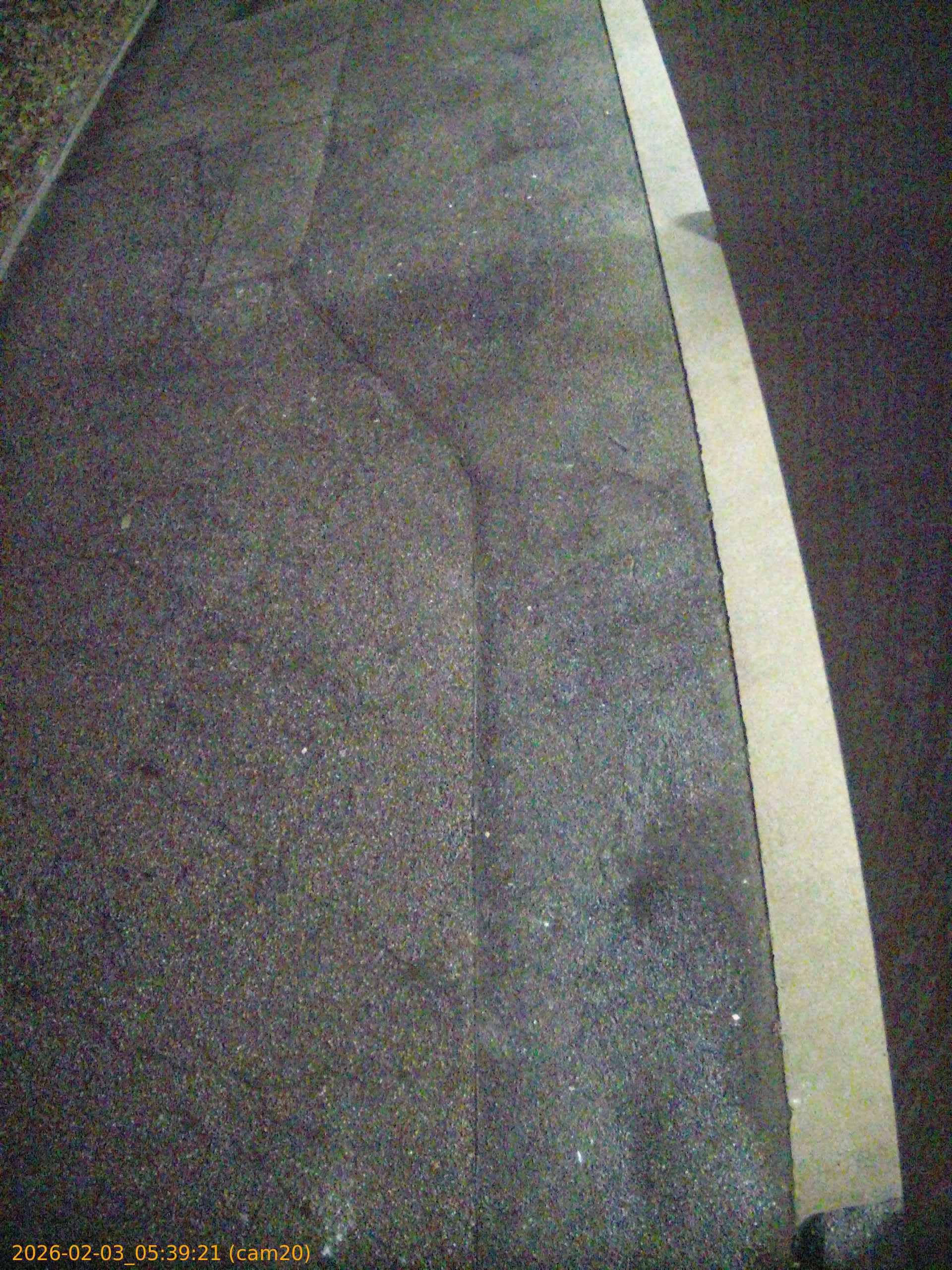 thumbnail_20260203053921