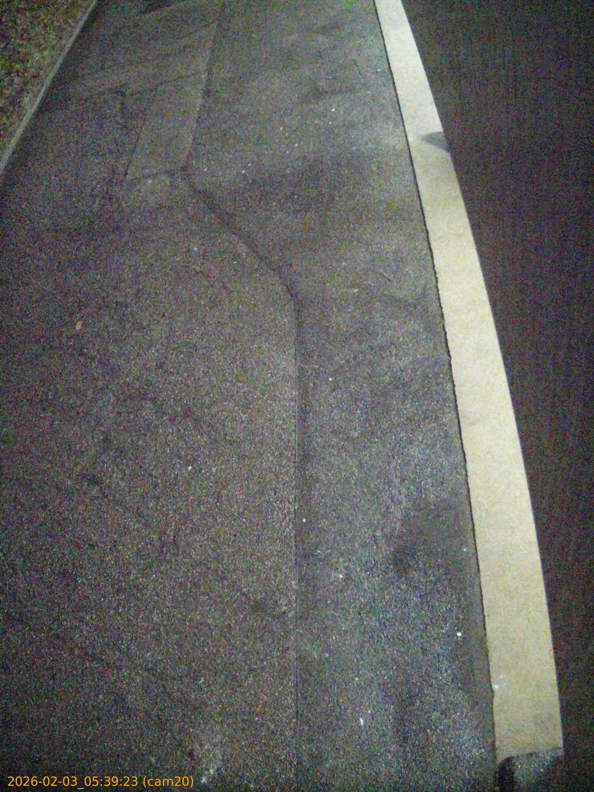 thumbnail_20260203053923