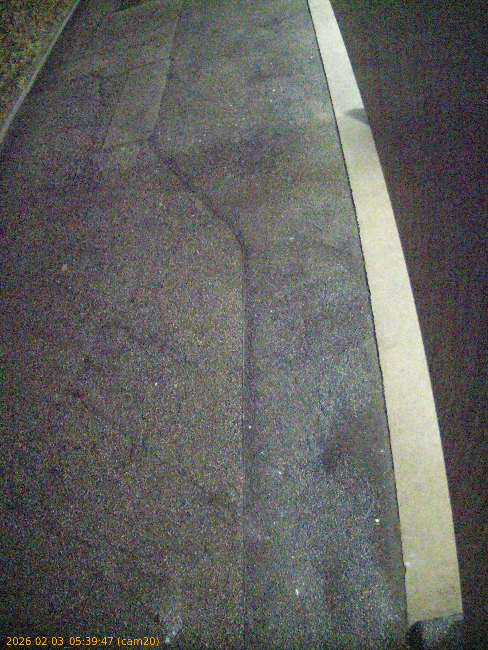 thumbnail_20260203053947