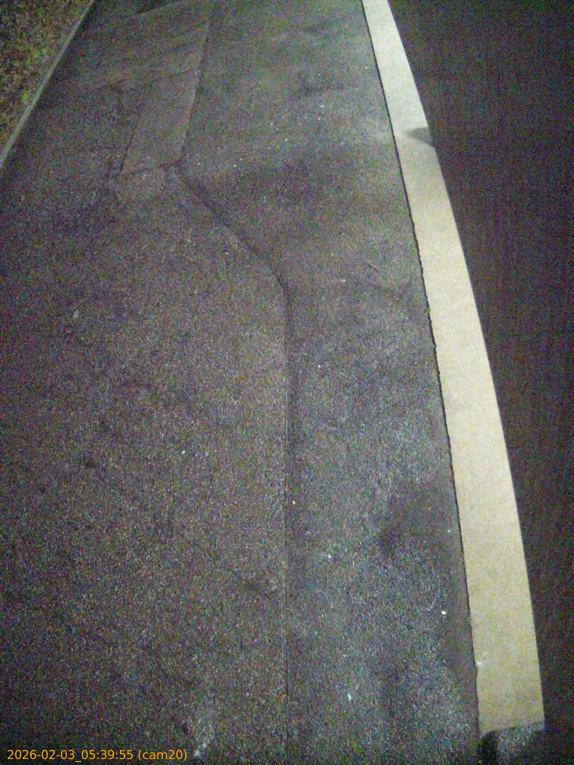 thumbnail_20260203053955