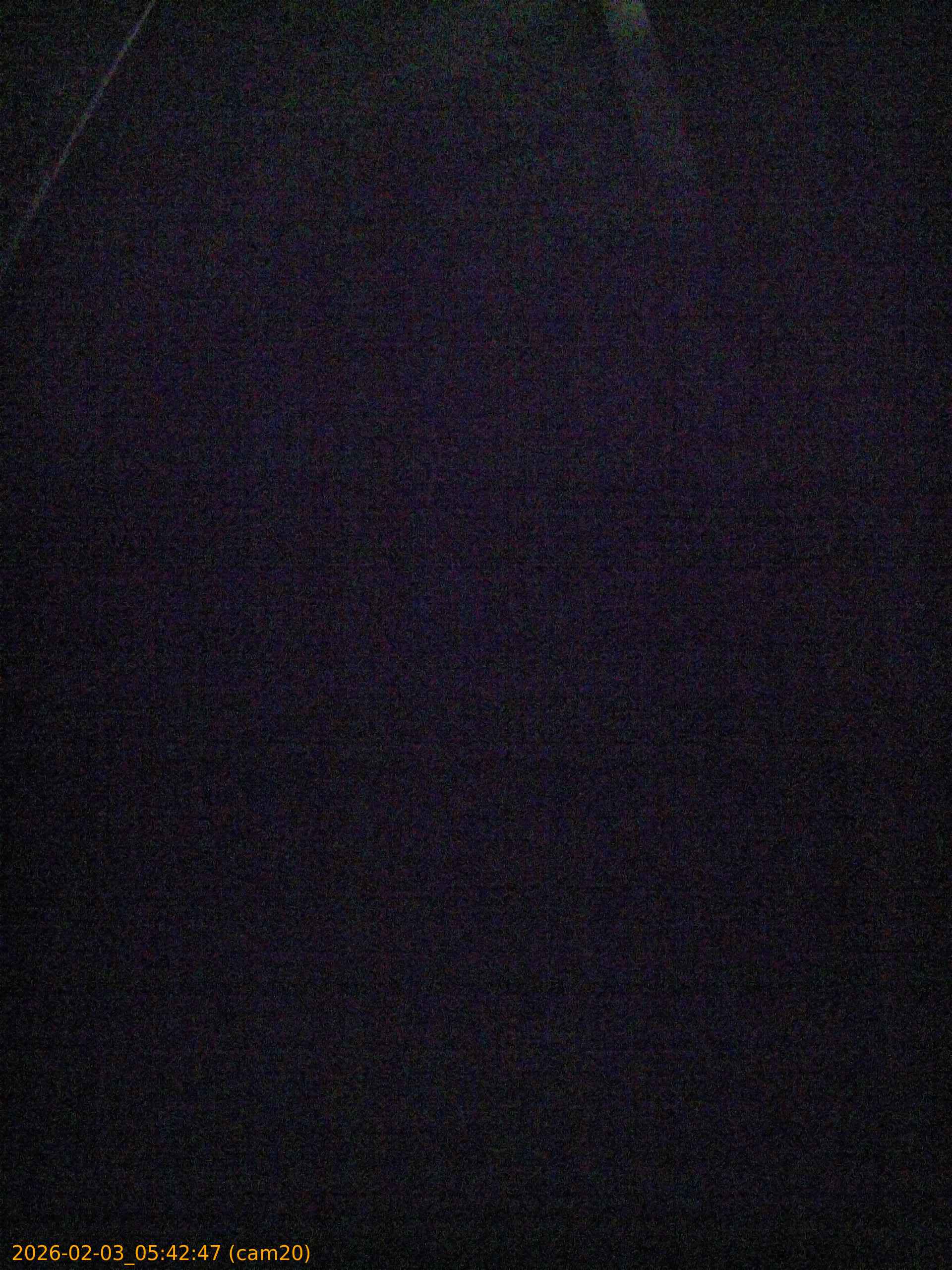 thumbnail_20260203054247