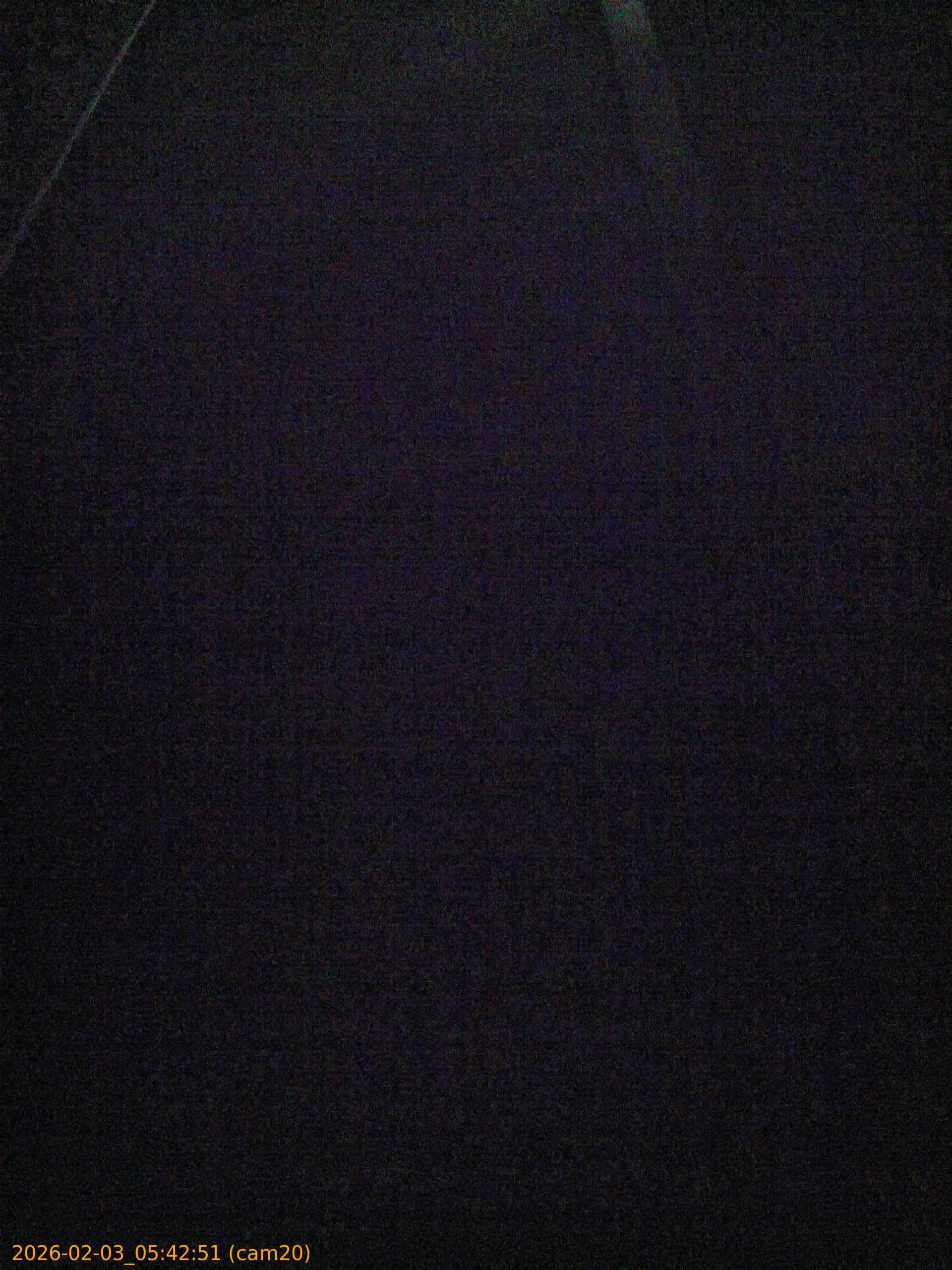 thumbnail_20260203054251