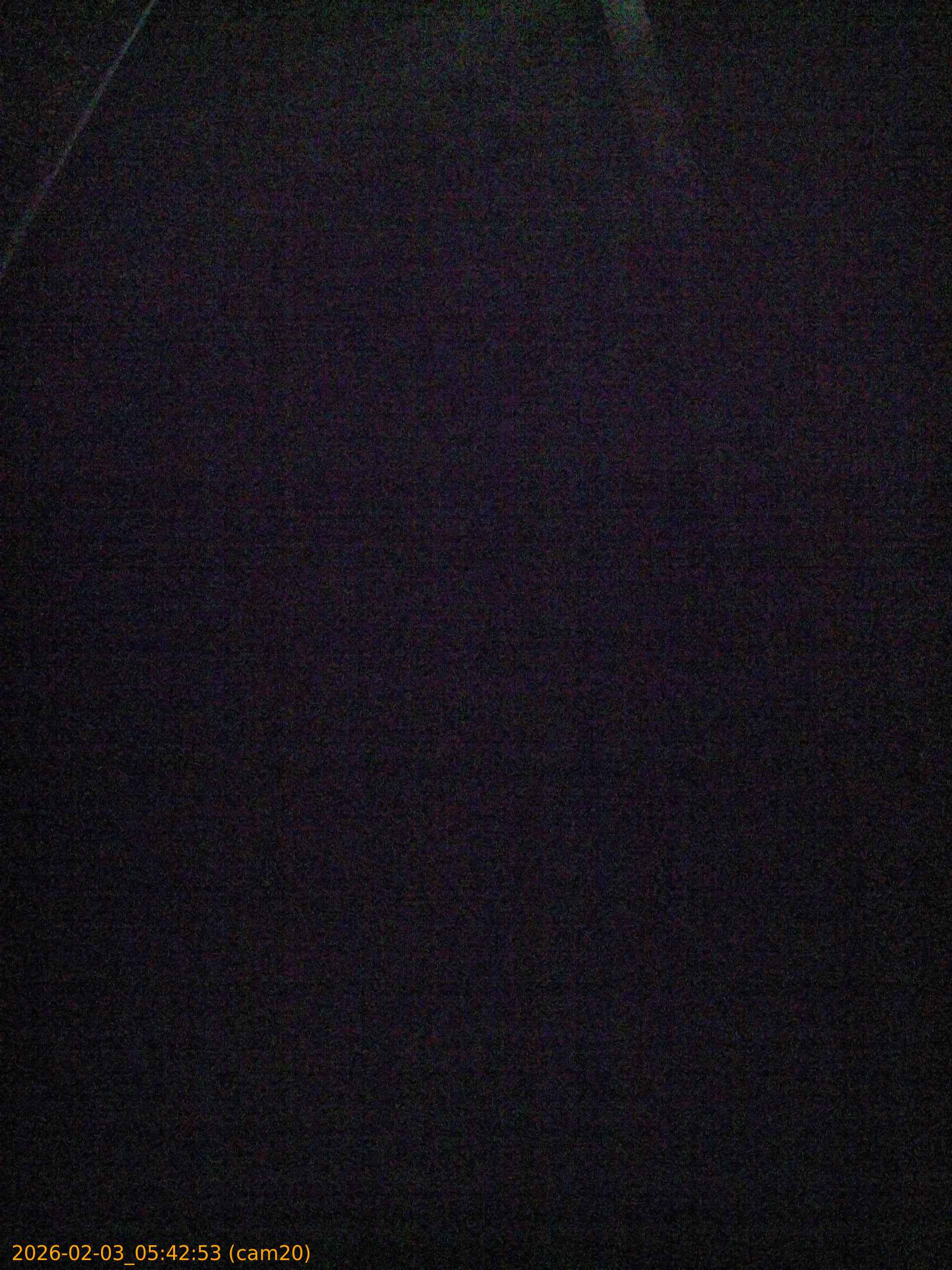 thumbnail_20260203054253