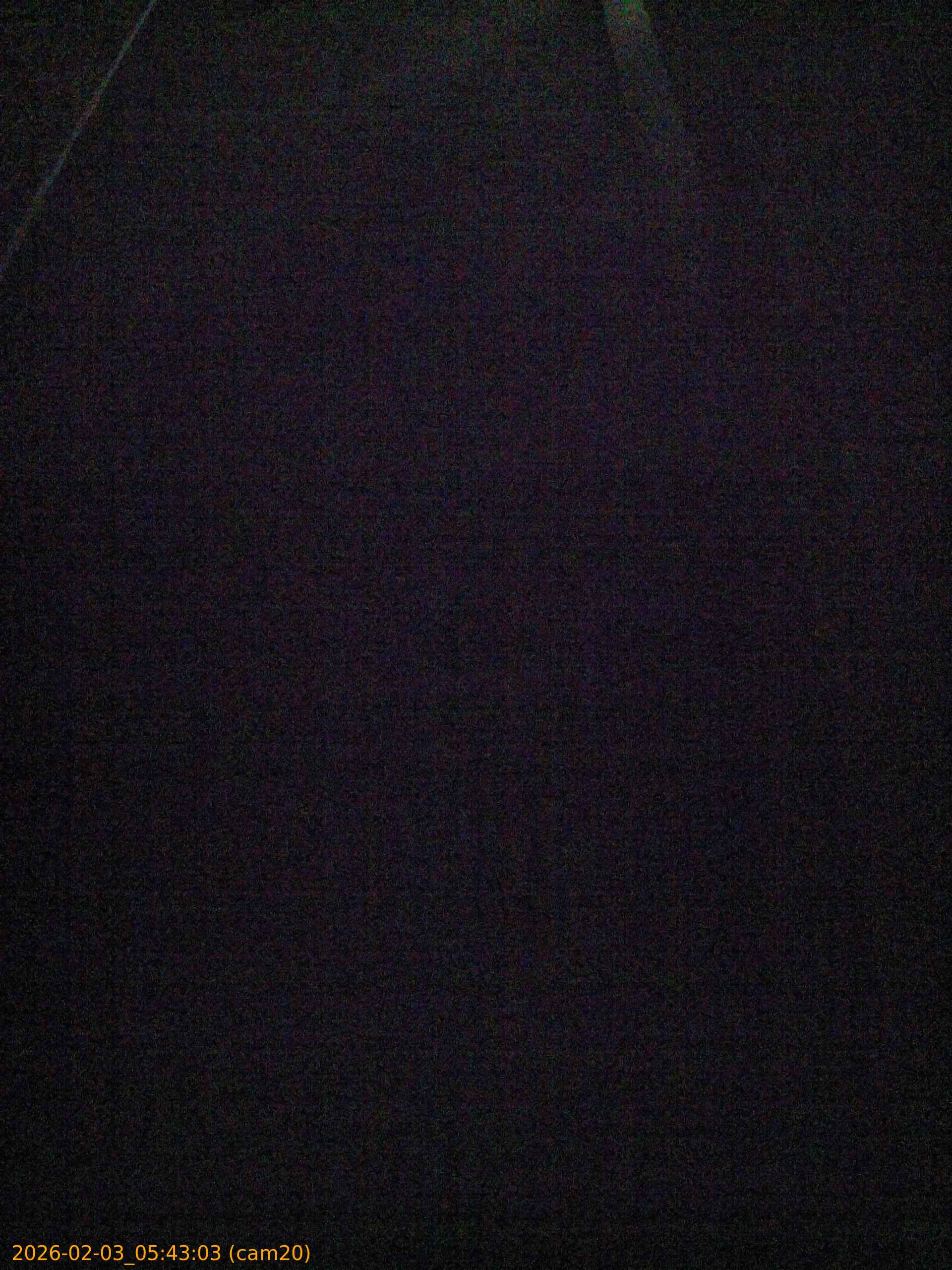 thumbnail_20260203054303