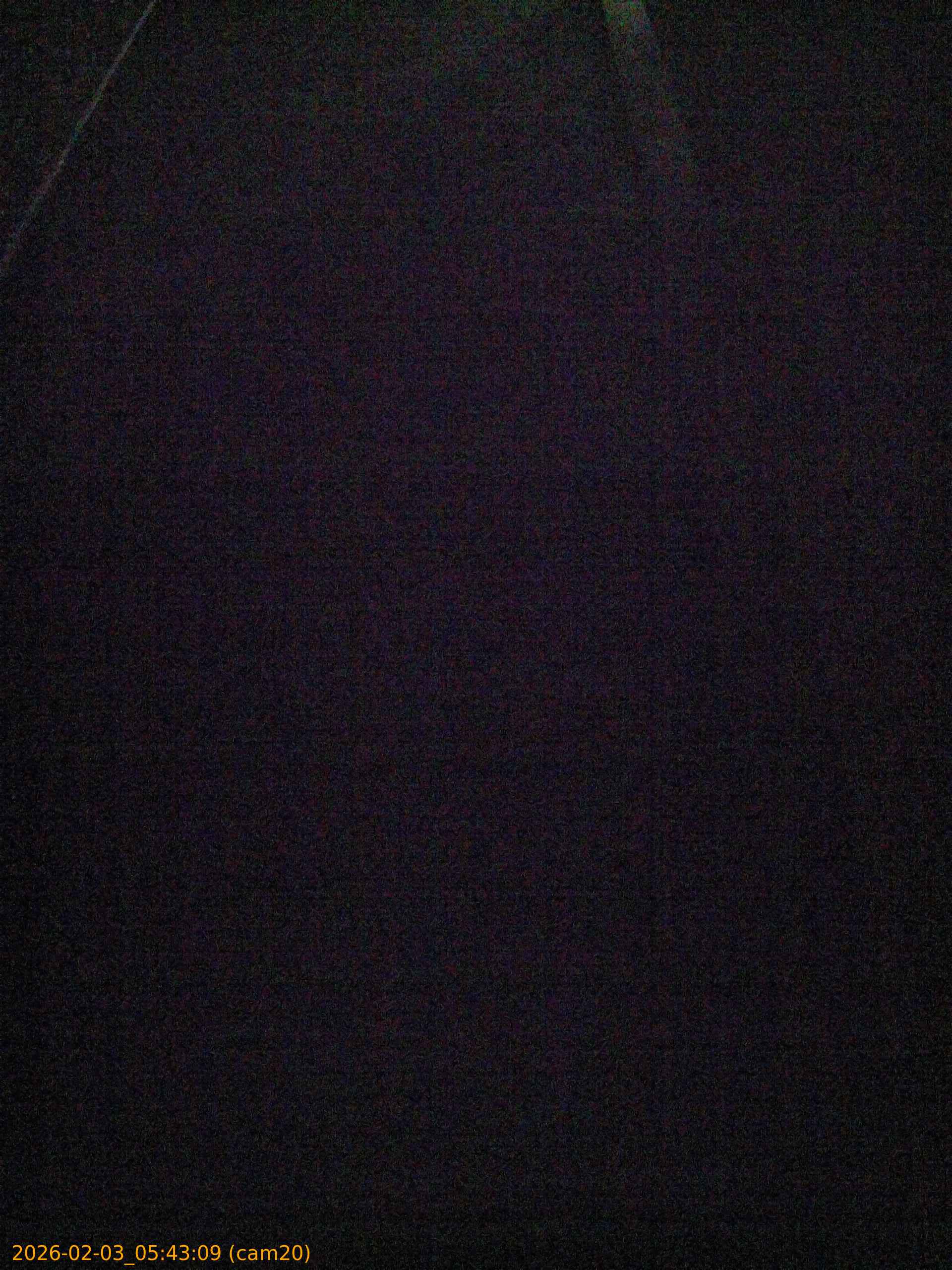 thumbnail_20260203054309