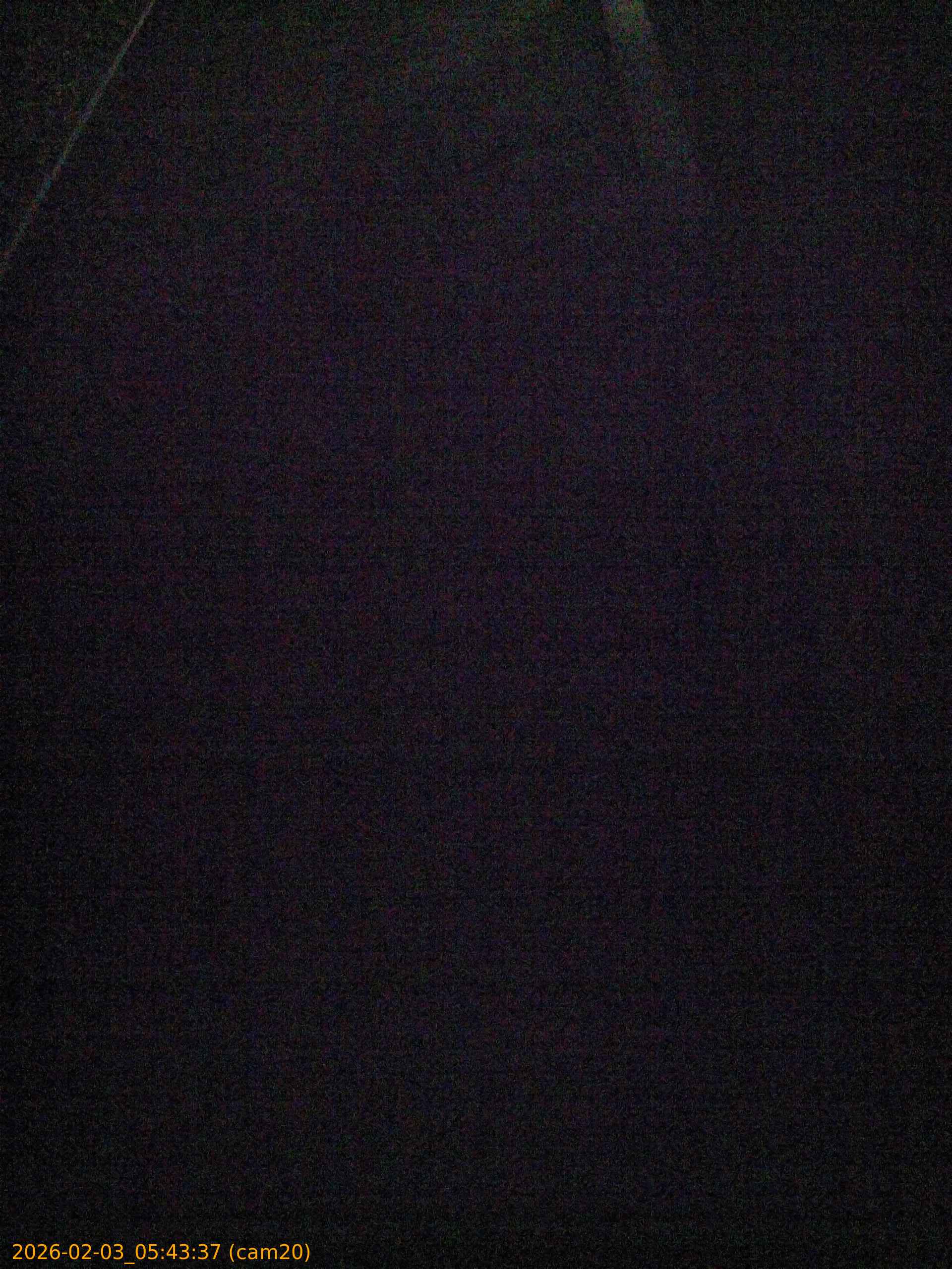 thumbnail_20260203054337