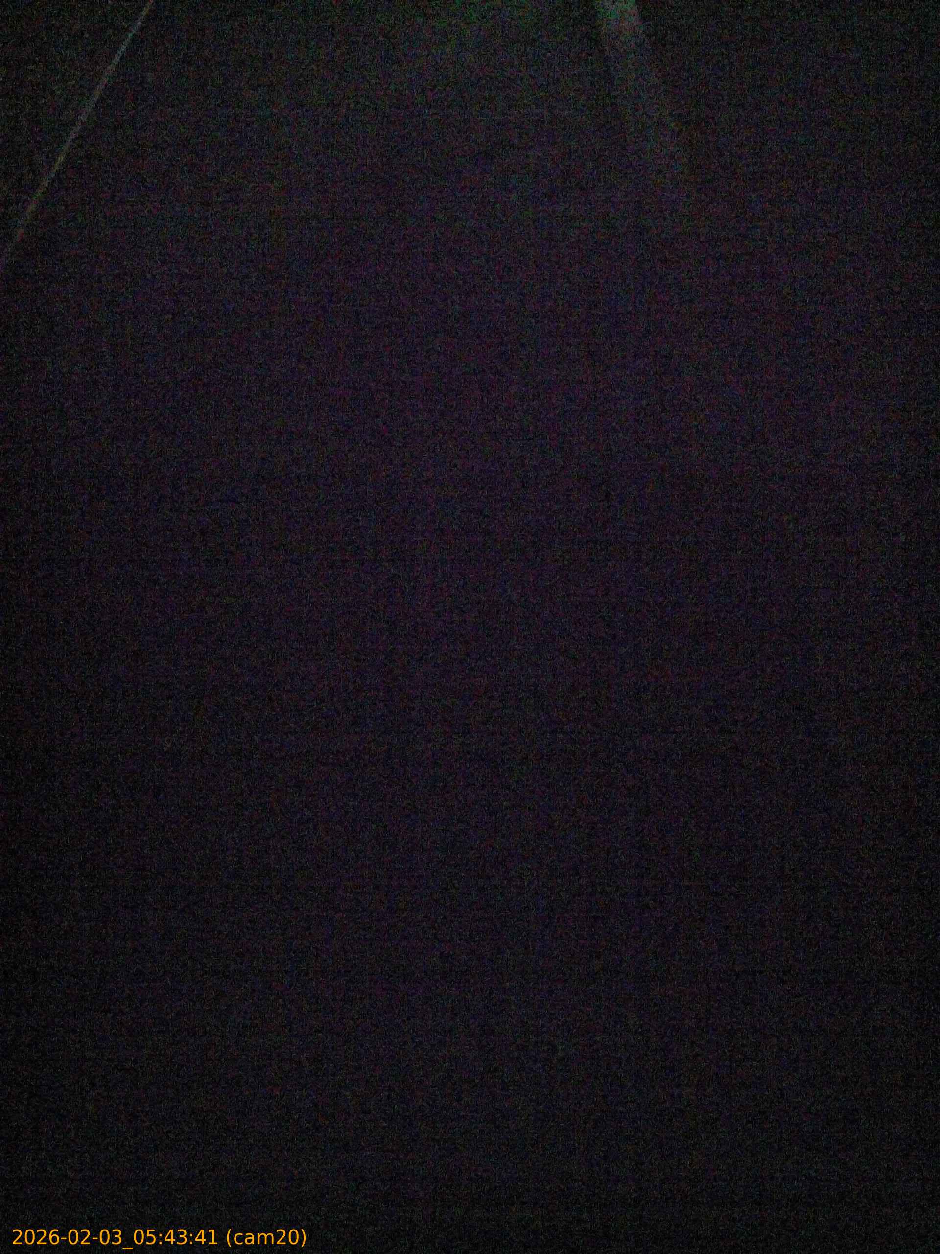 thumbnail_20260203054341