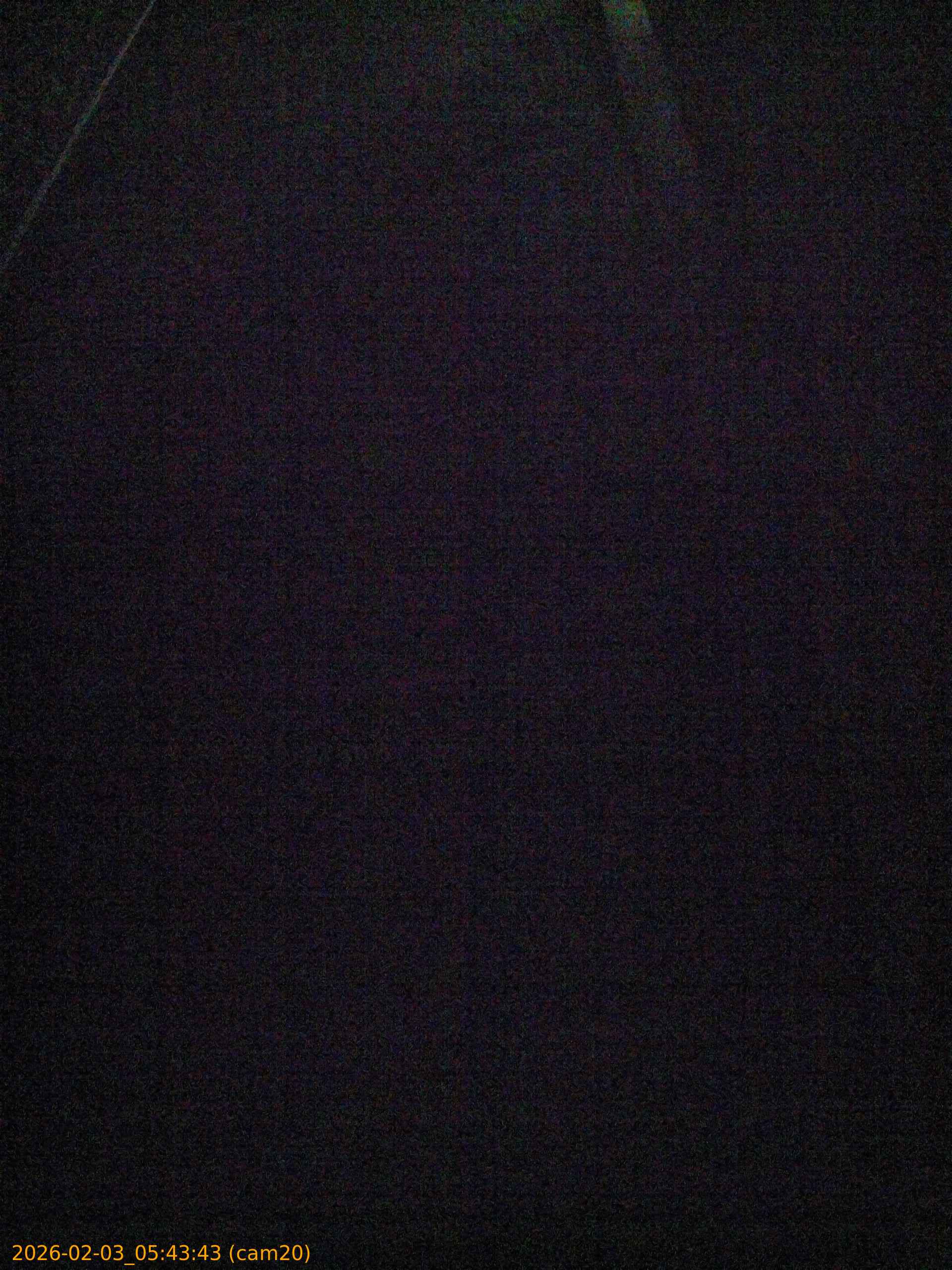 thumbnail_20260203054343