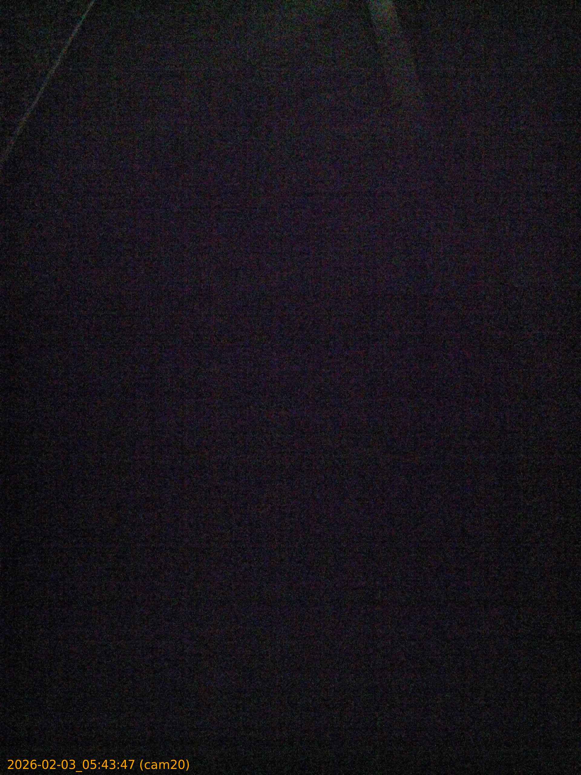 thumbnail_20260203054347