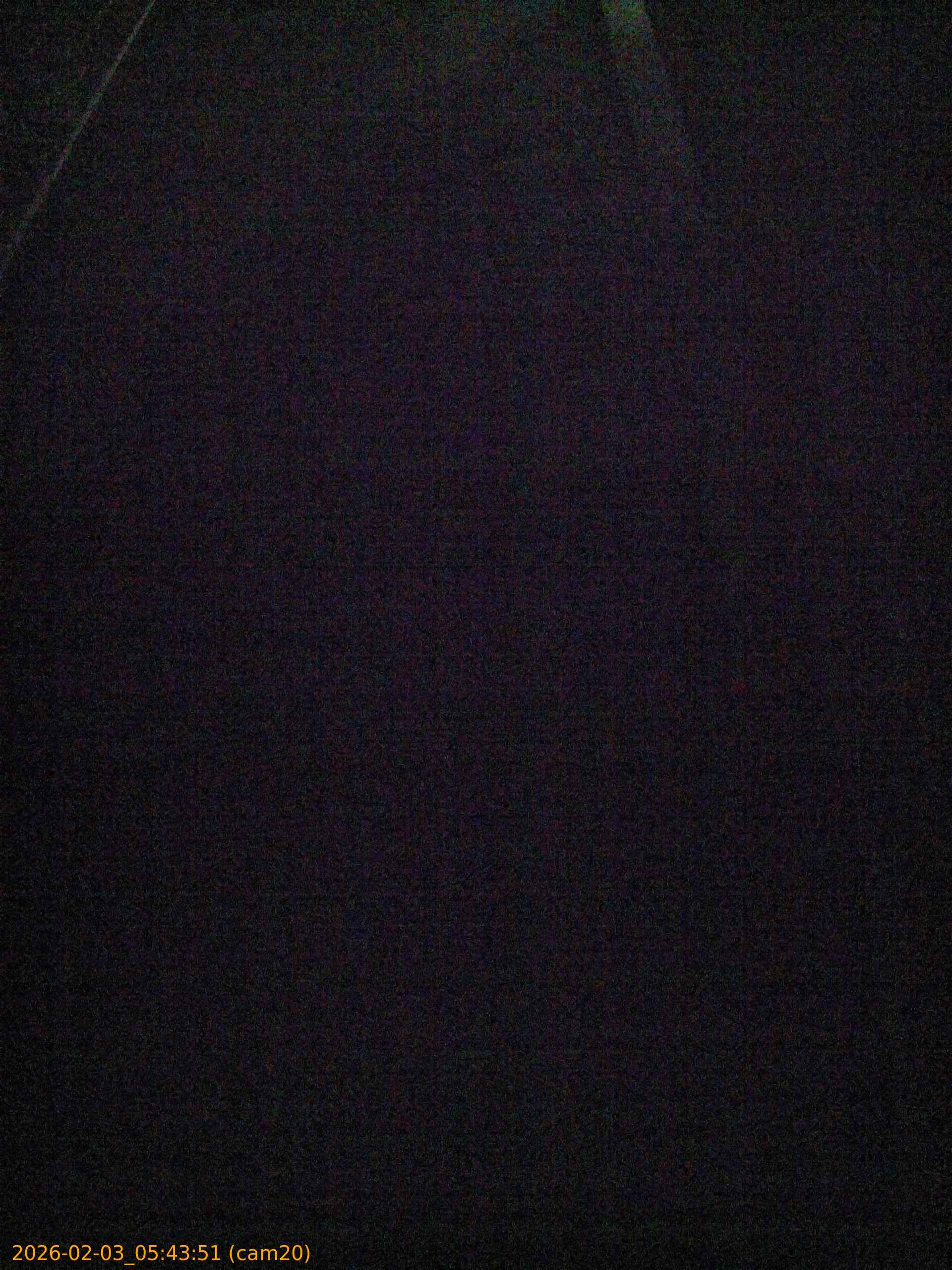 thumbnail_20260203054351