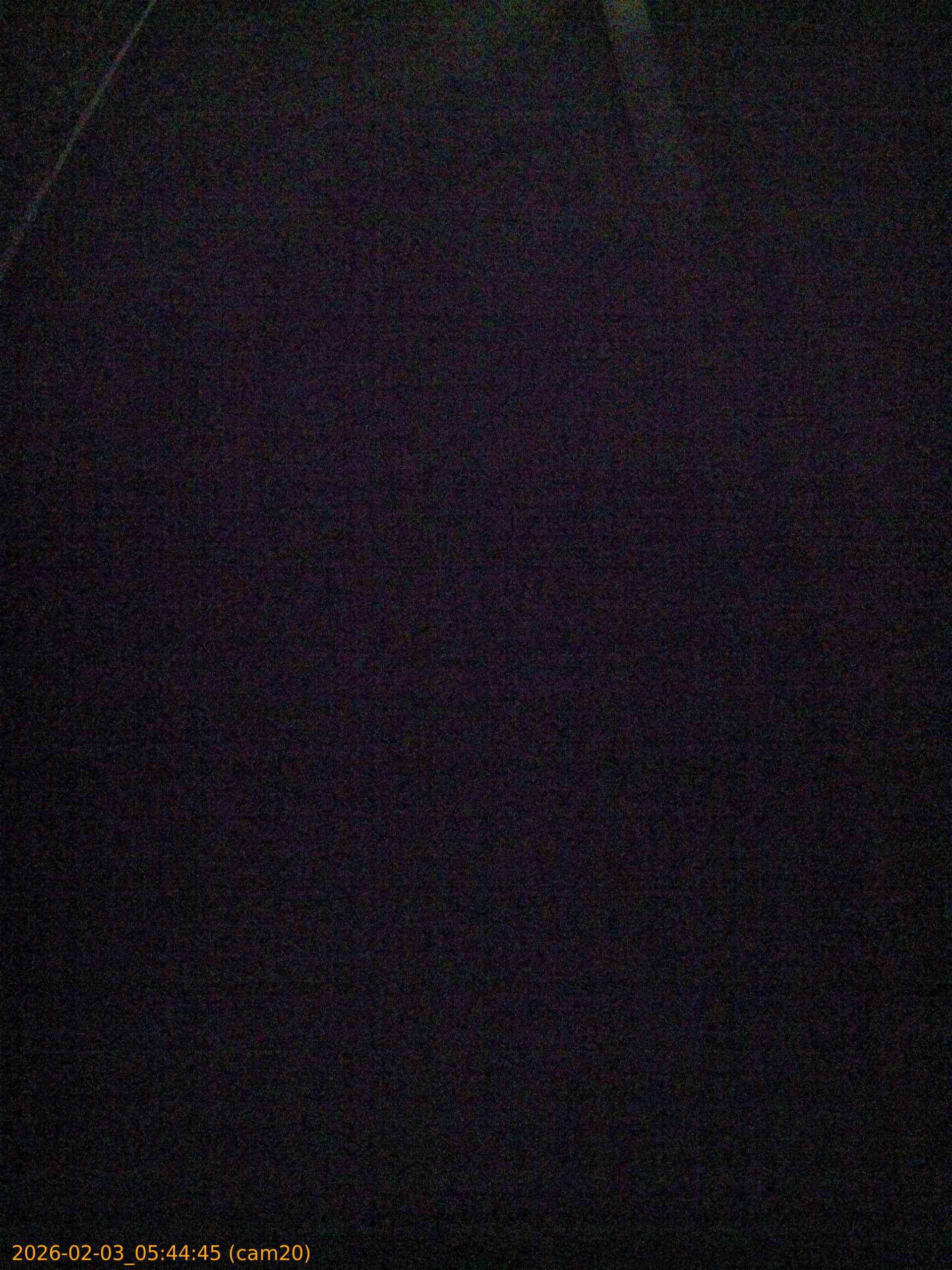 thumbnail_20260203054445