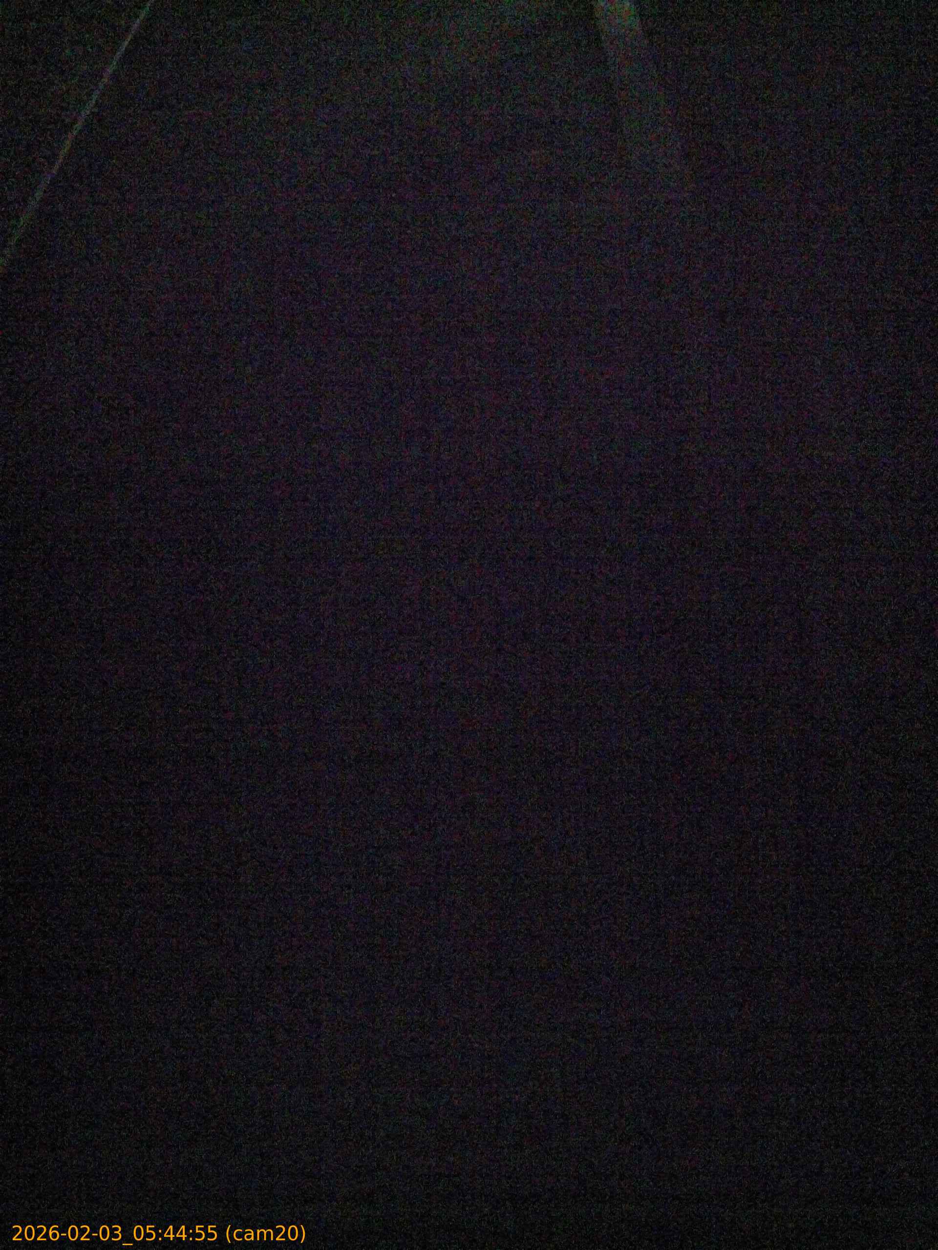 thumbnail_20260203054455