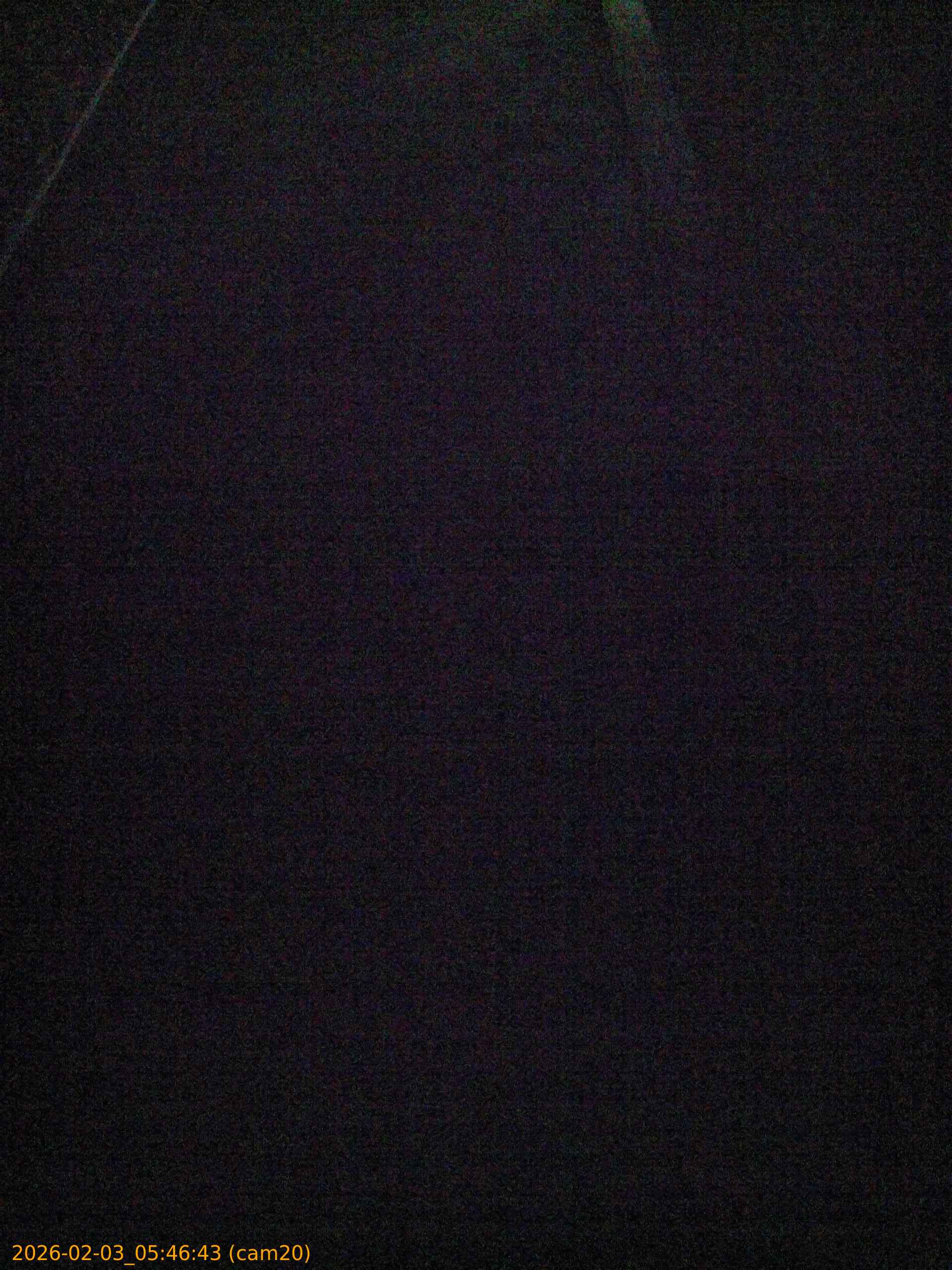 thumbnail_20260203054643