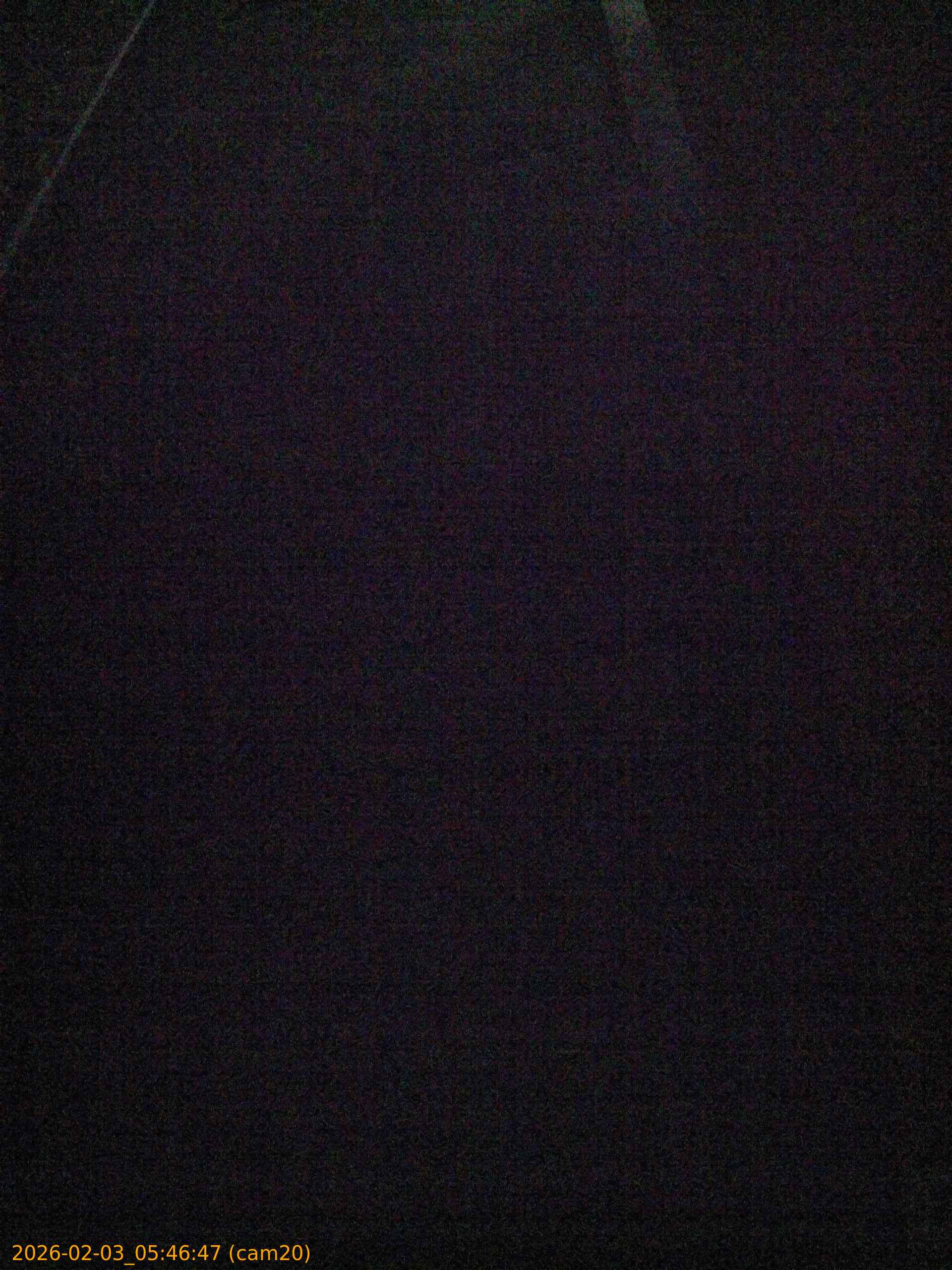 thumbnail_20260203054647