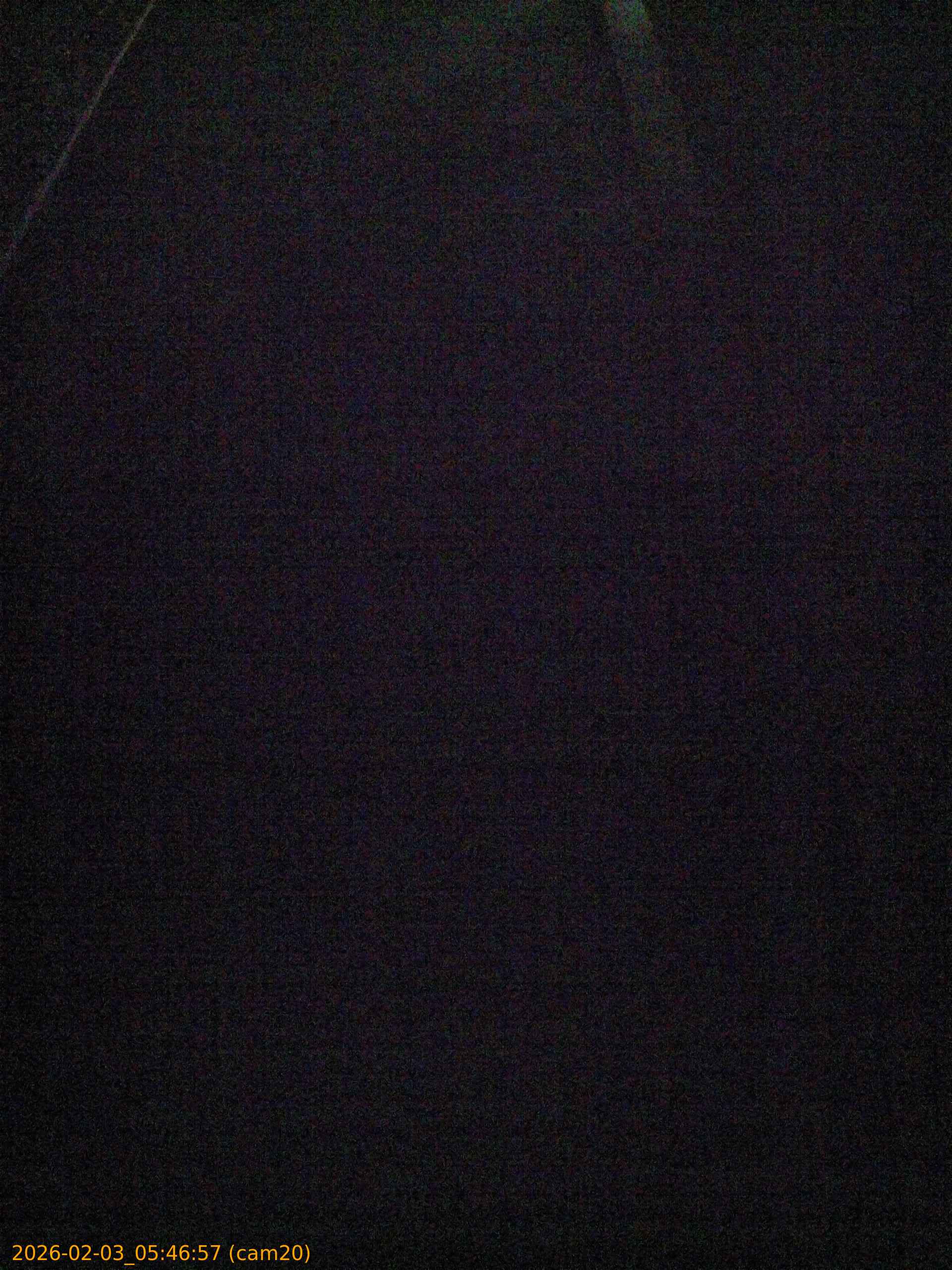 thumbnail_20260203054657