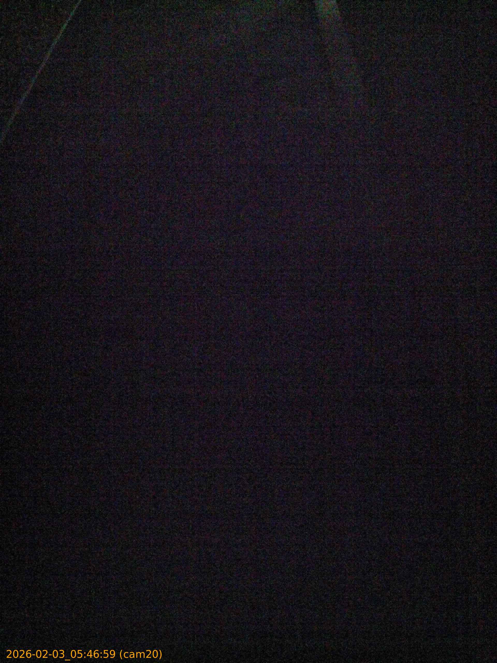 thumbnail_20260203054659