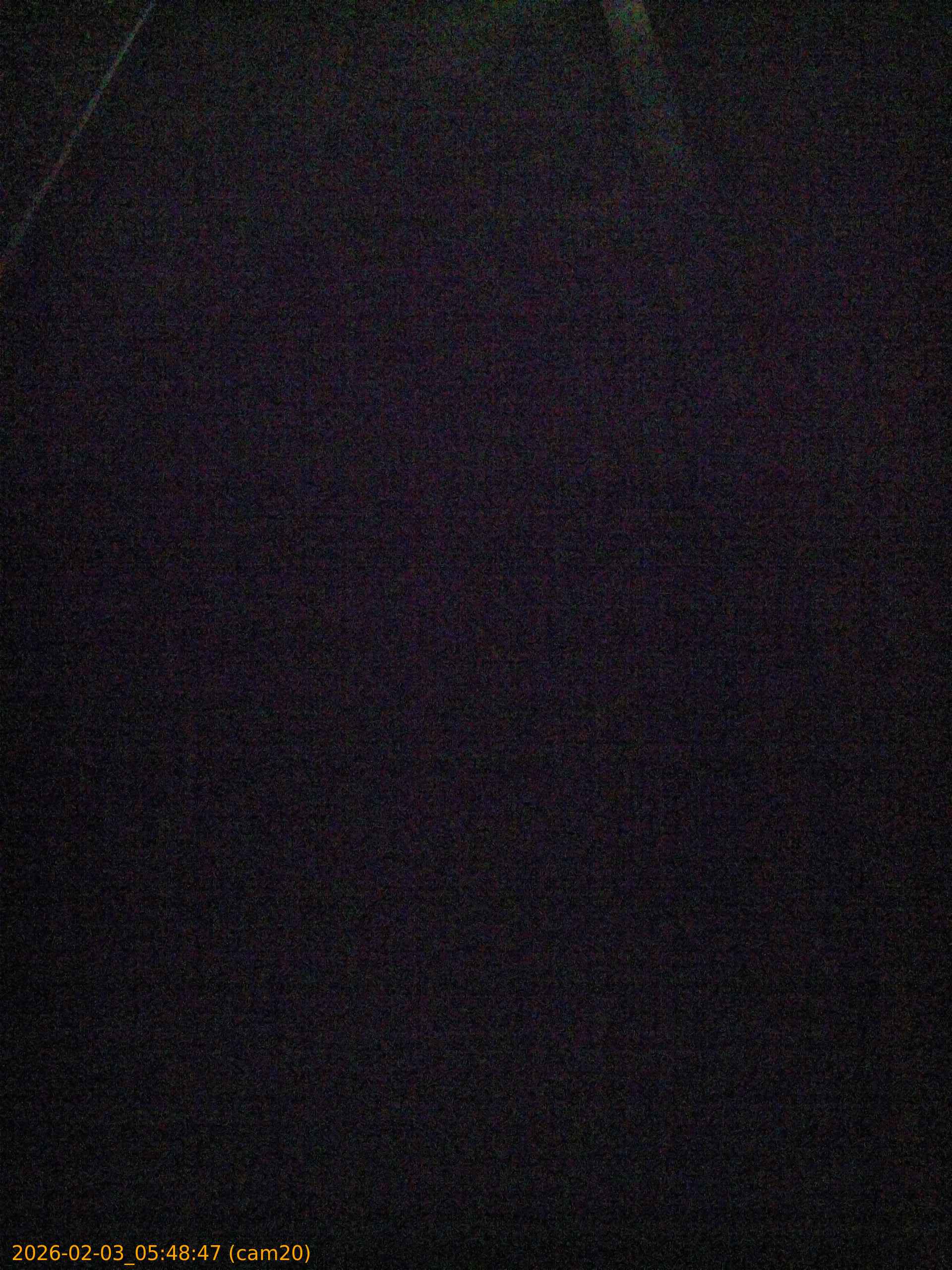 thumbnail_20260203054846