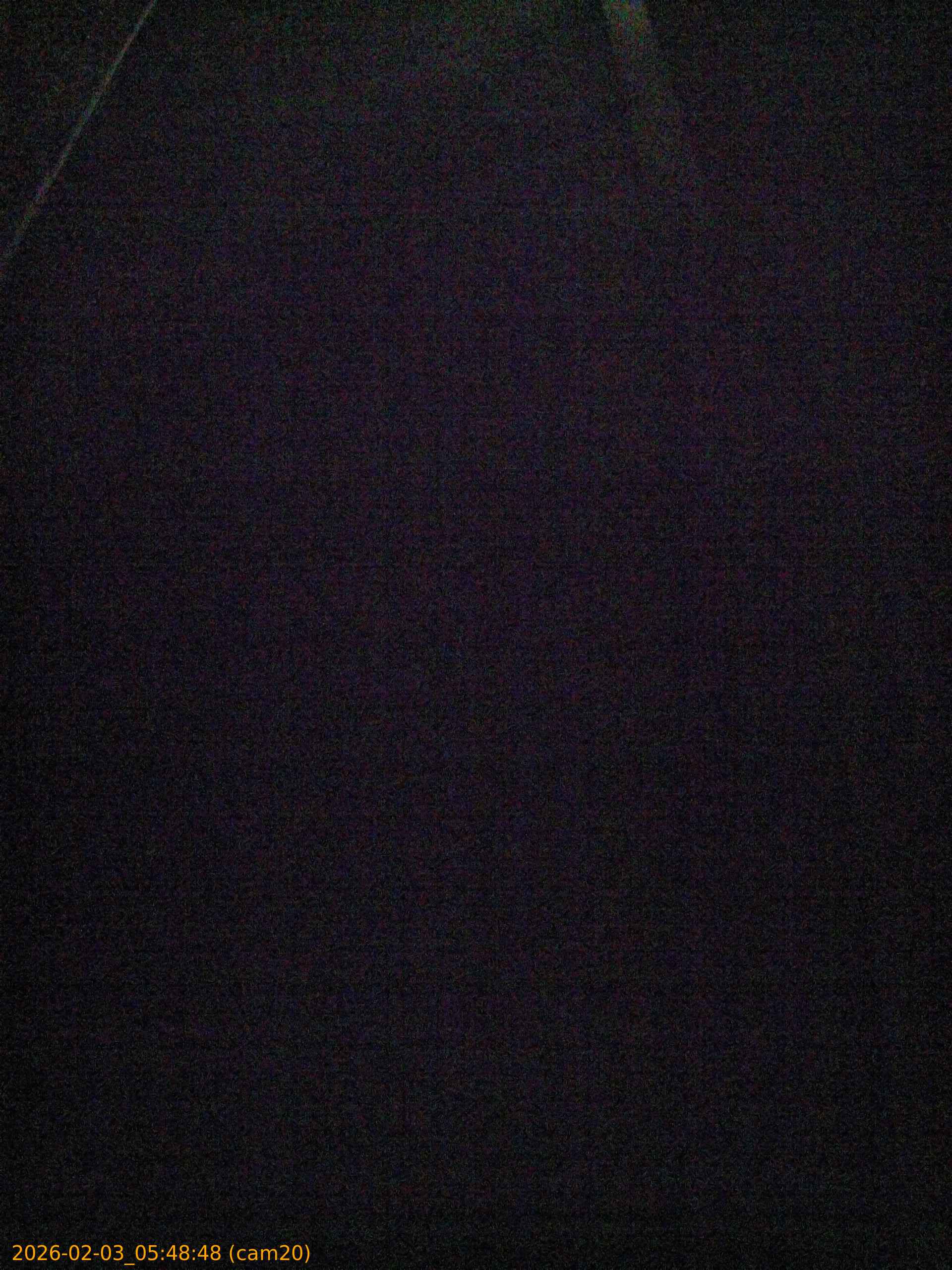 thumbnail_20260203054848