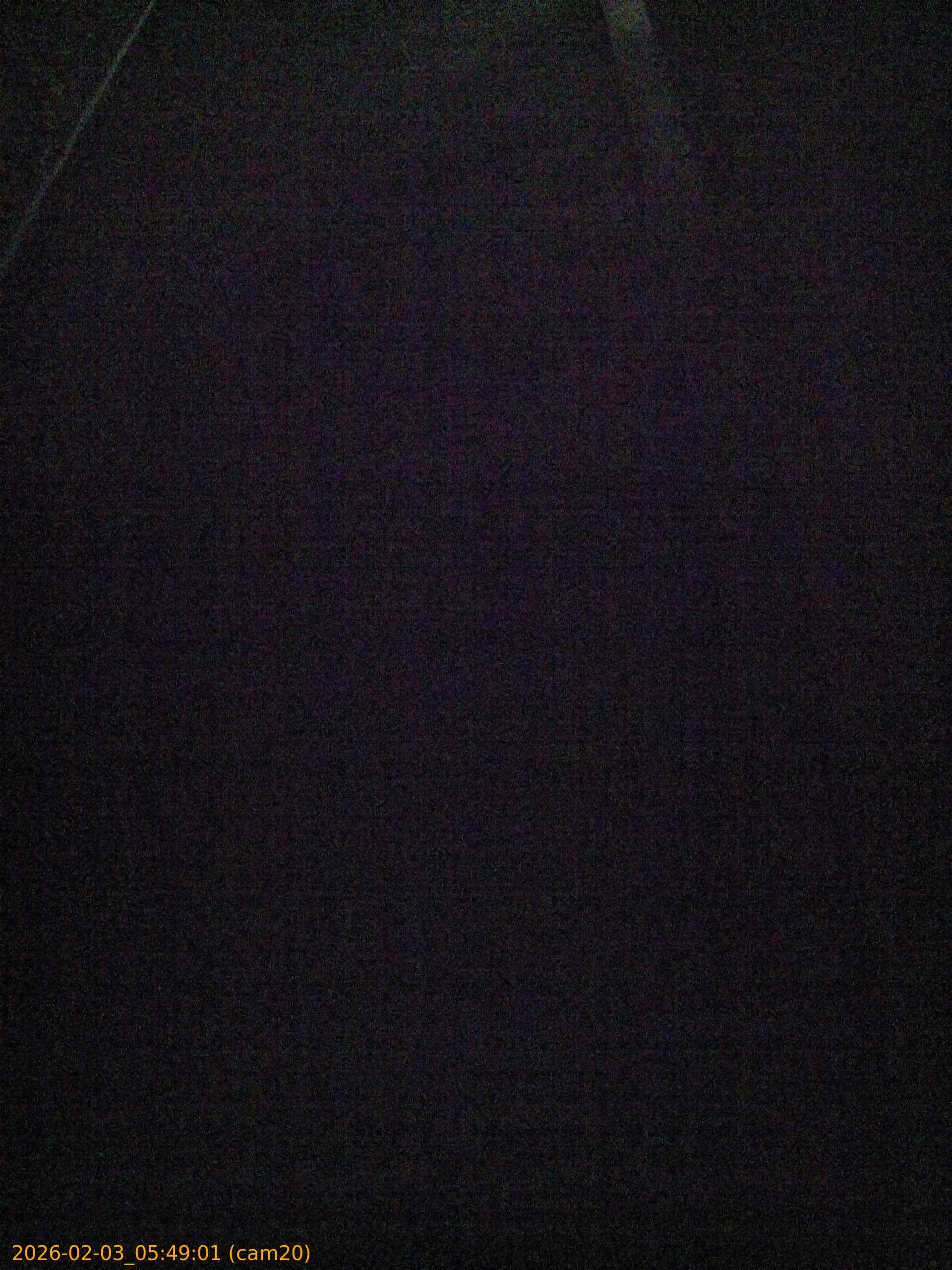 thumbnail_20260203054901