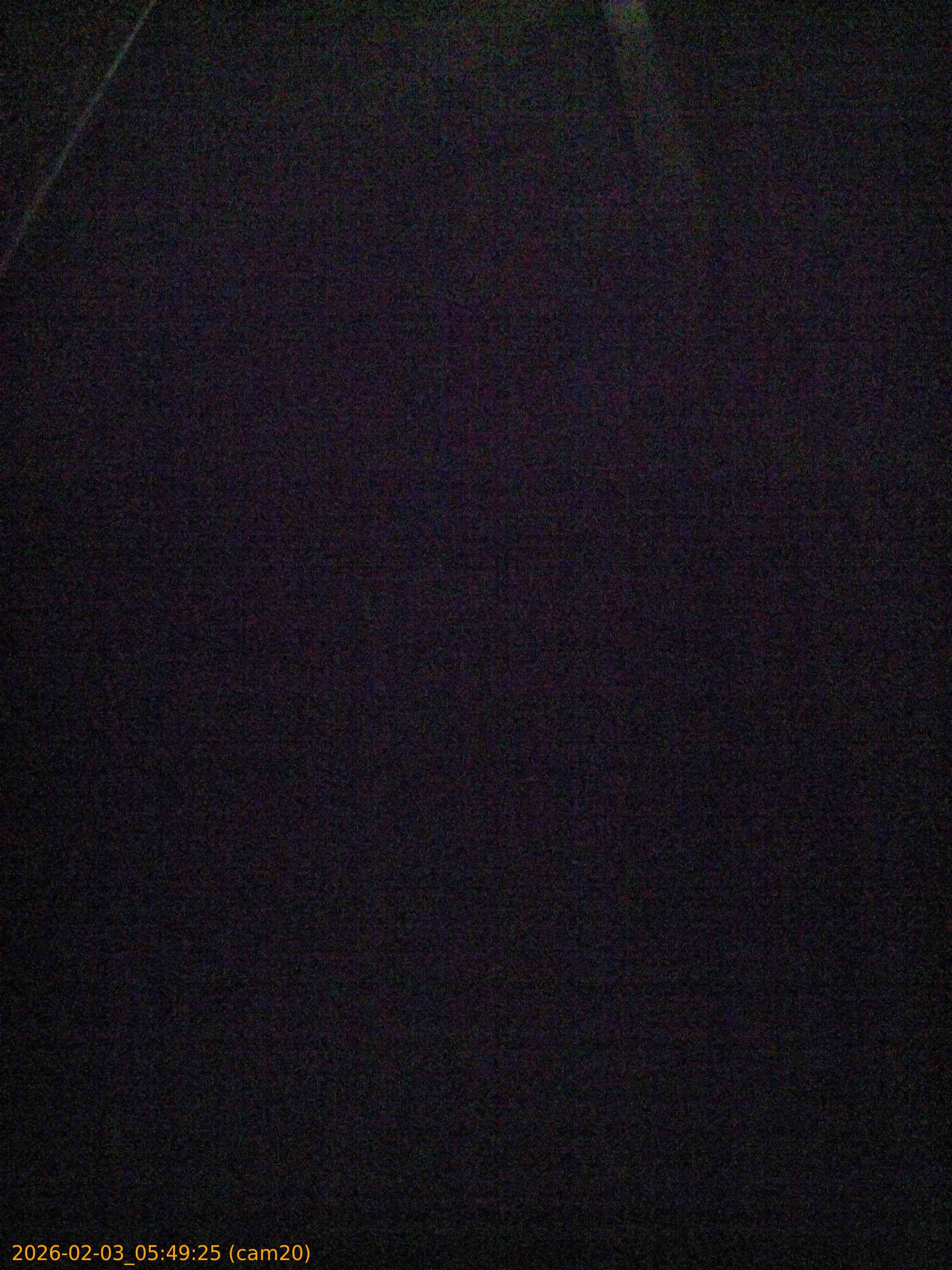 thumbnail_20260203054925