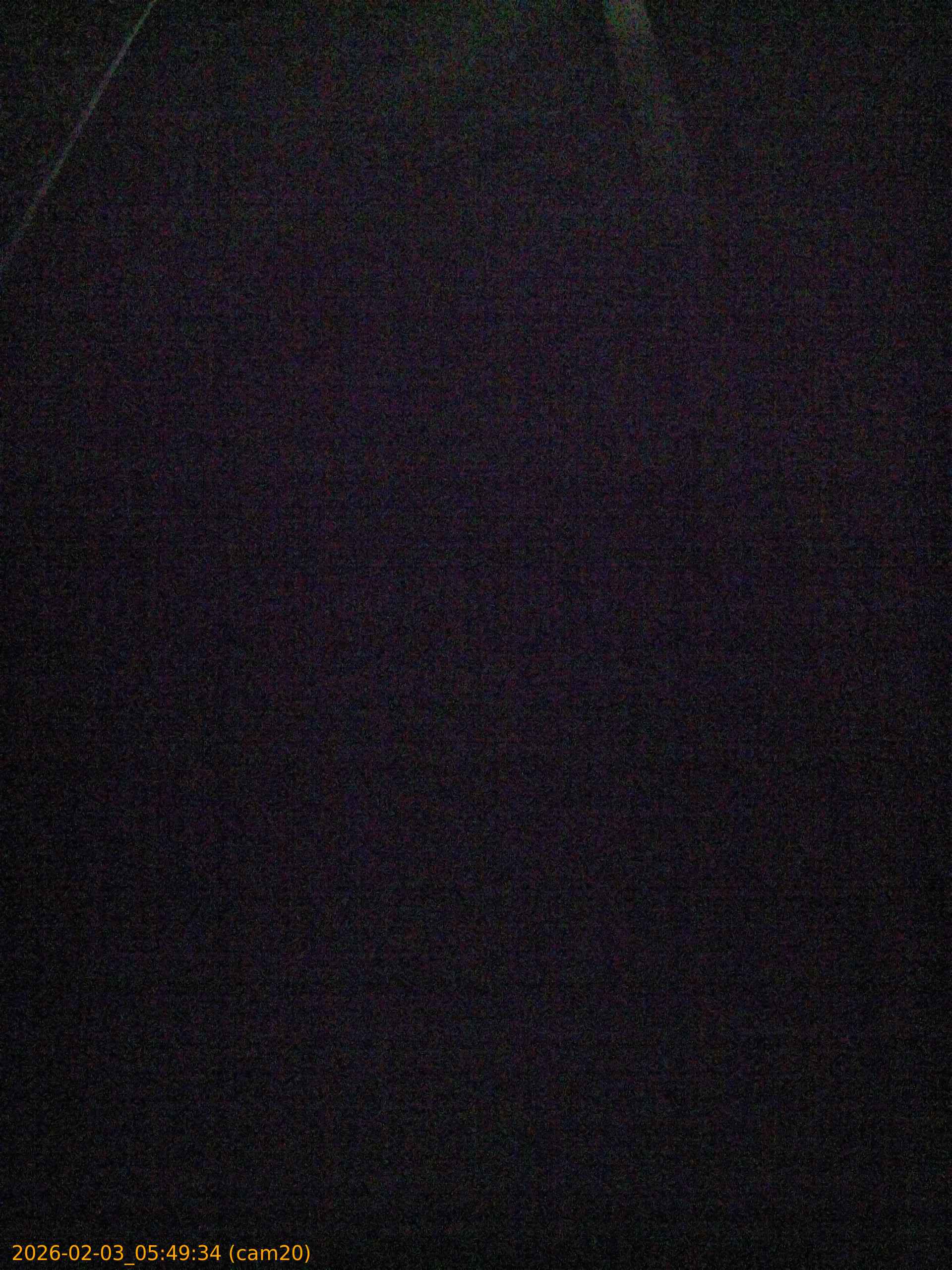 thumbnail_20260203054934