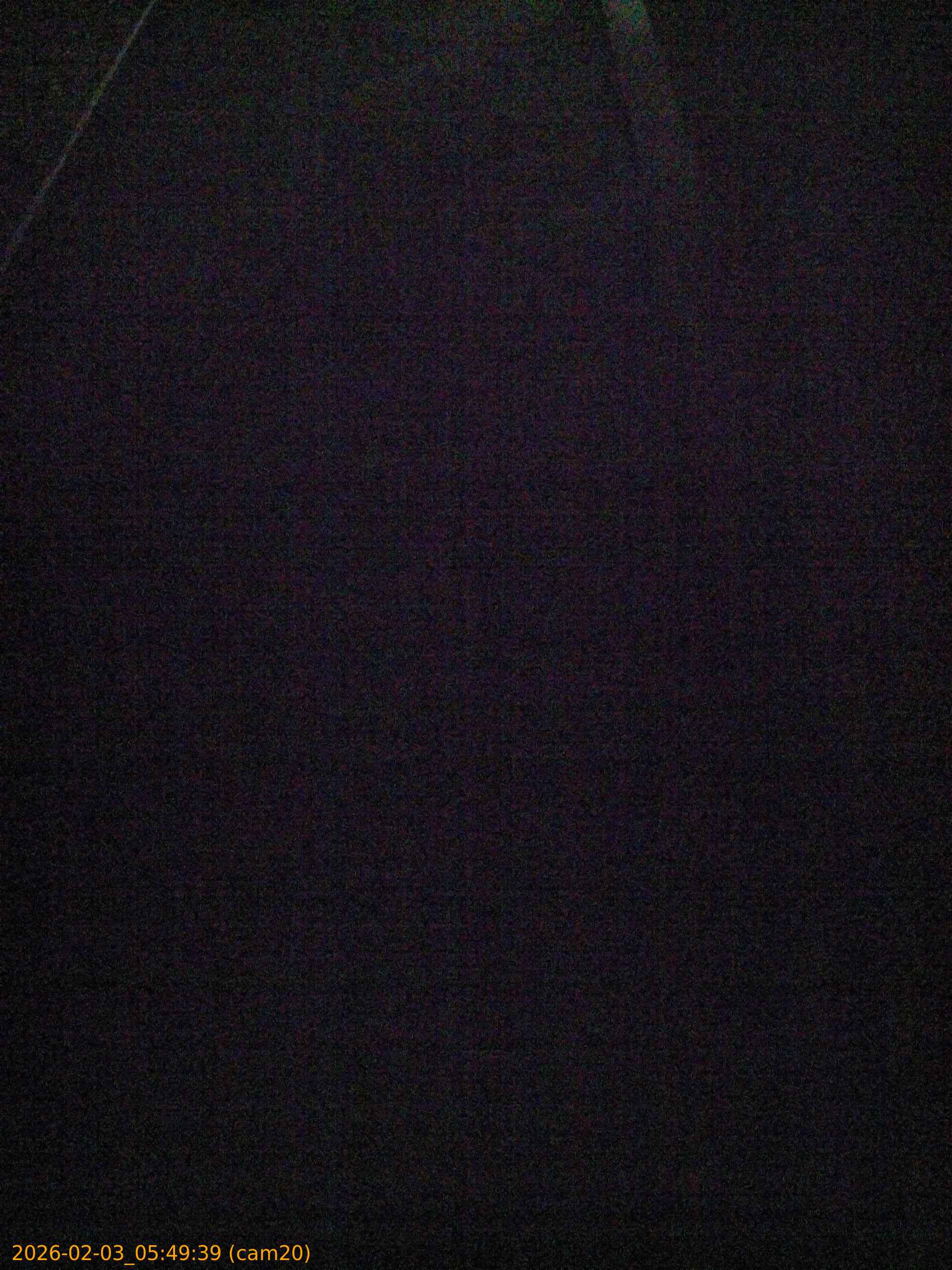 thumbnail_20260203054939