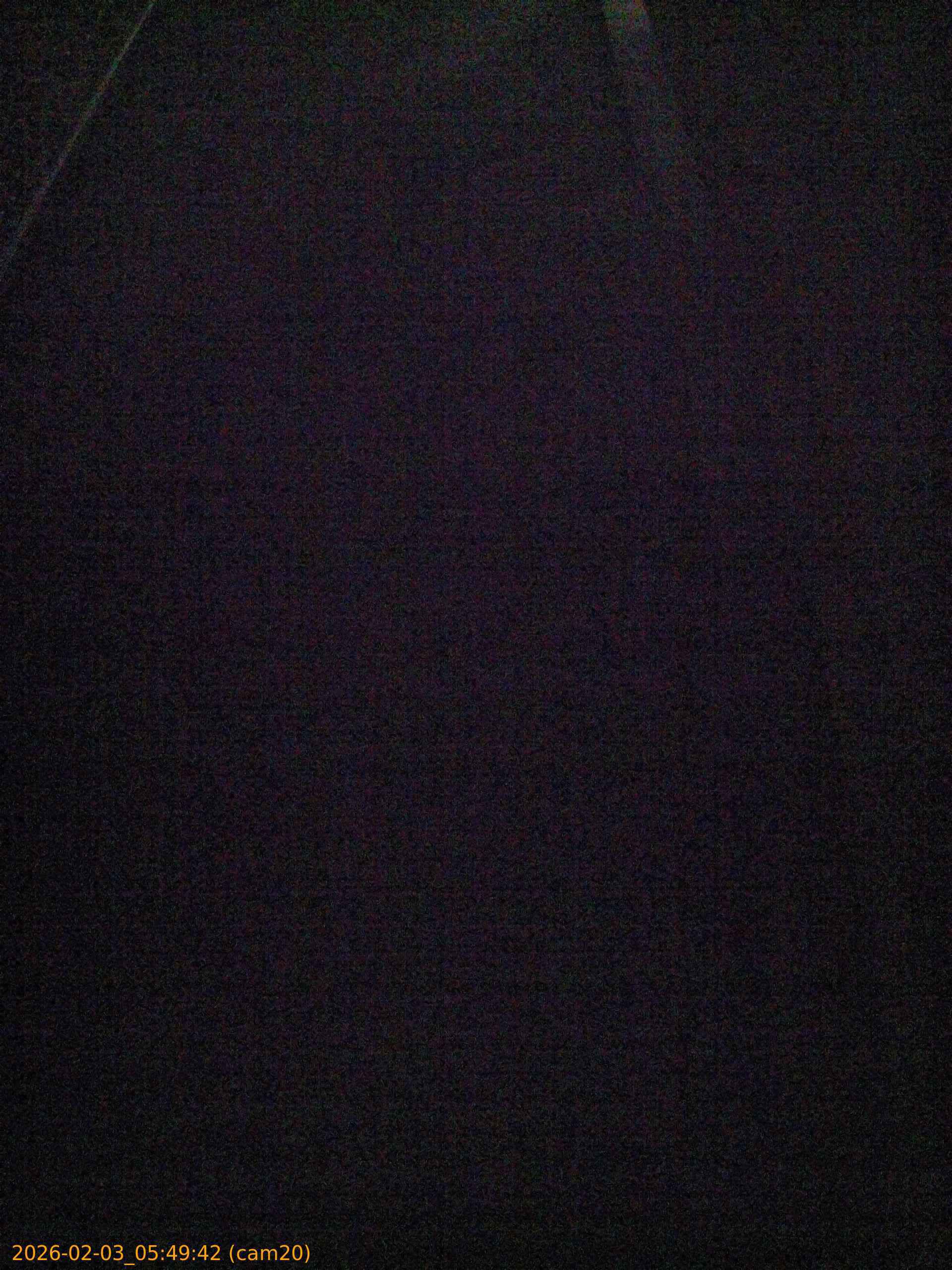 thumbnail_20260203054942