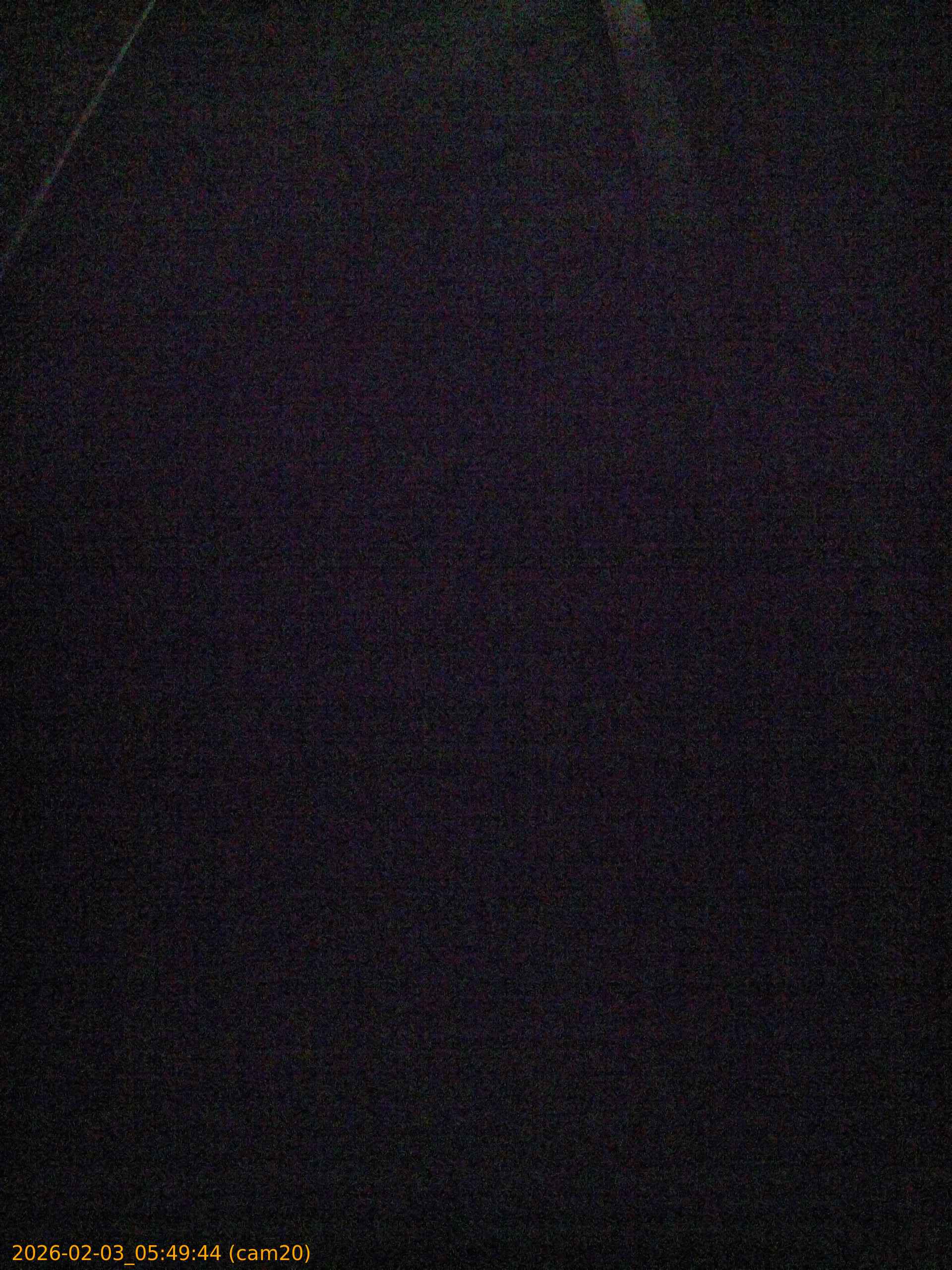 thumbnail_20260203054944