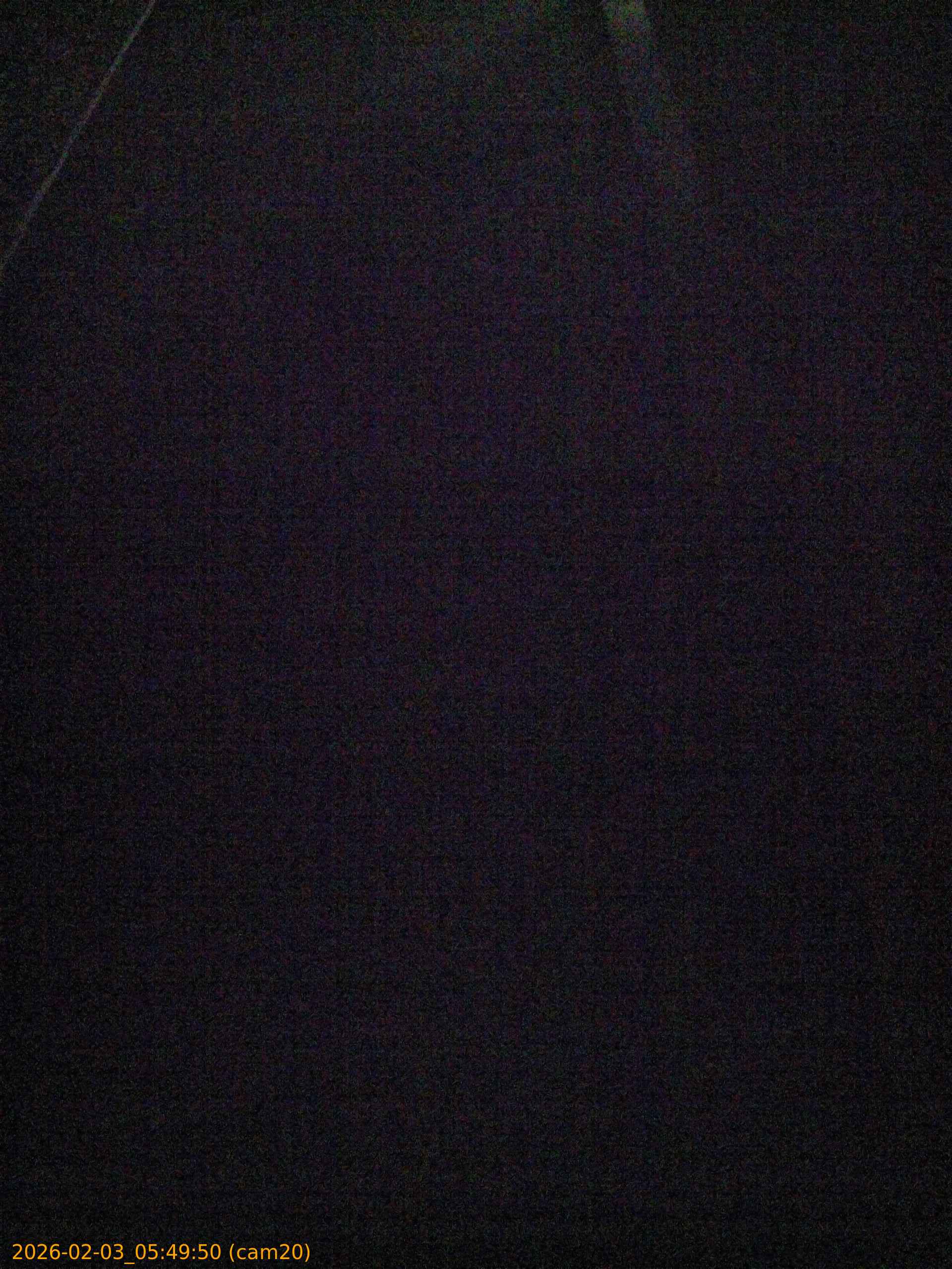 thumbnail_20260203054950