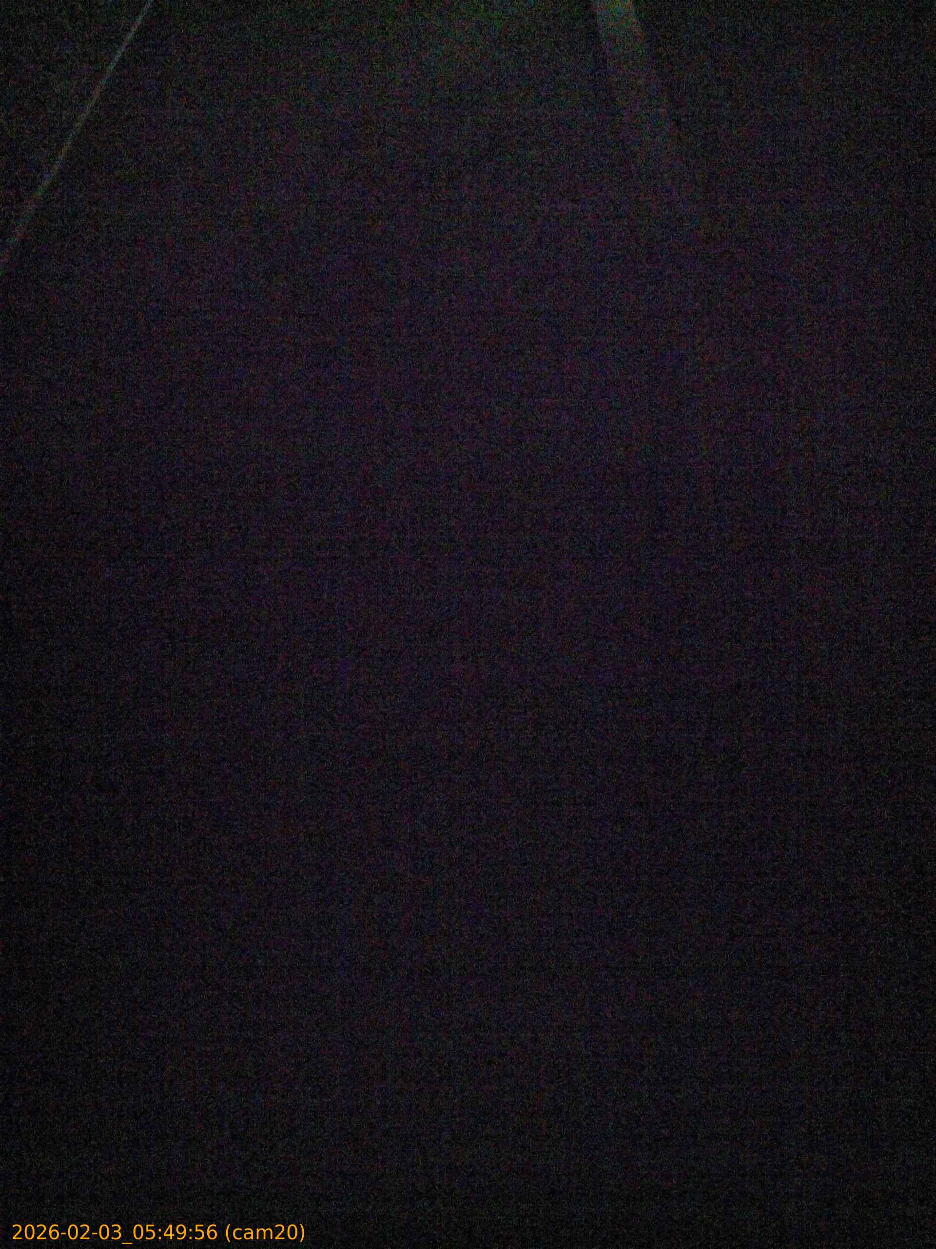 thumbnail_20260203054956