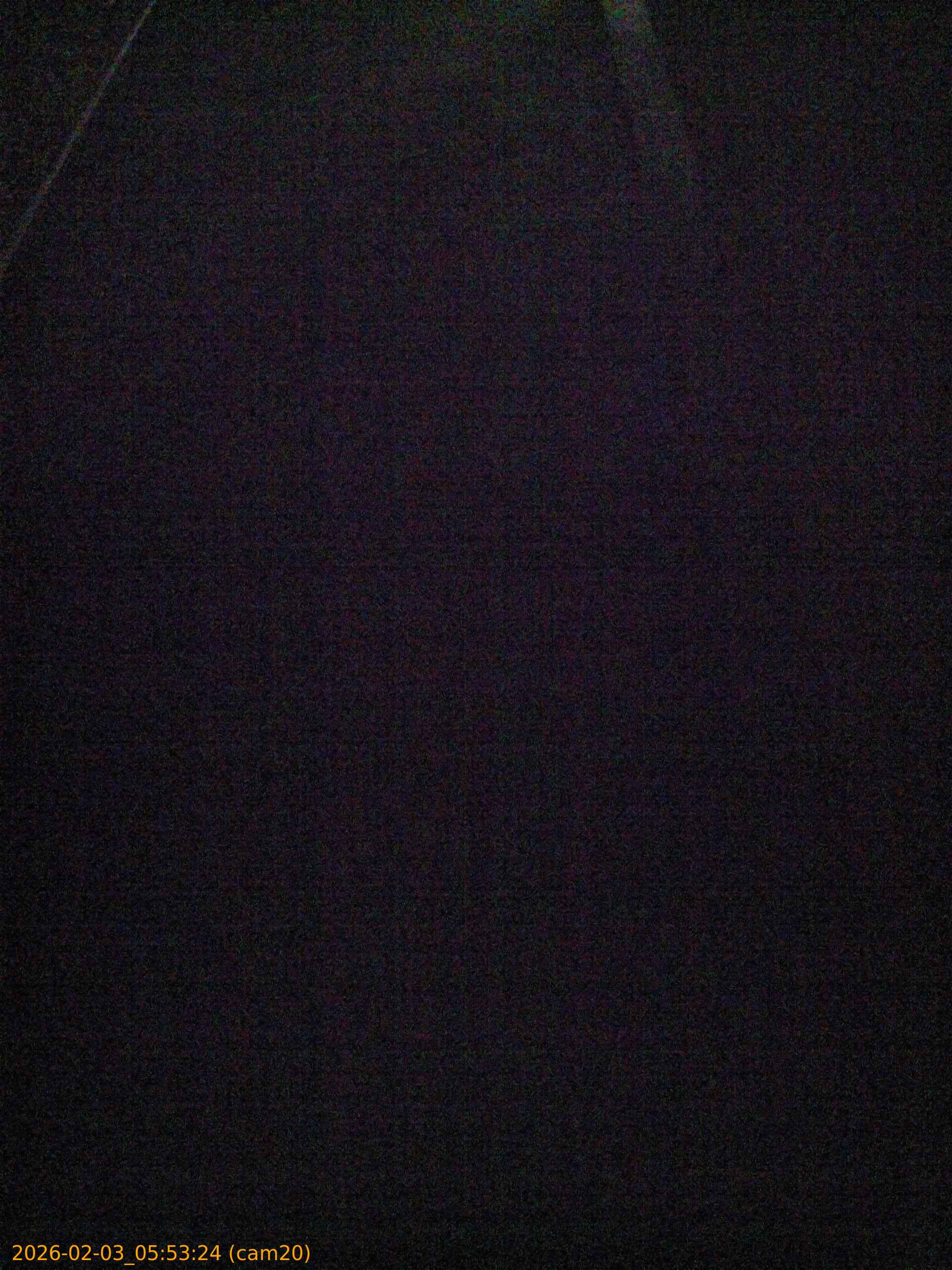 thumbnail_20260203055324