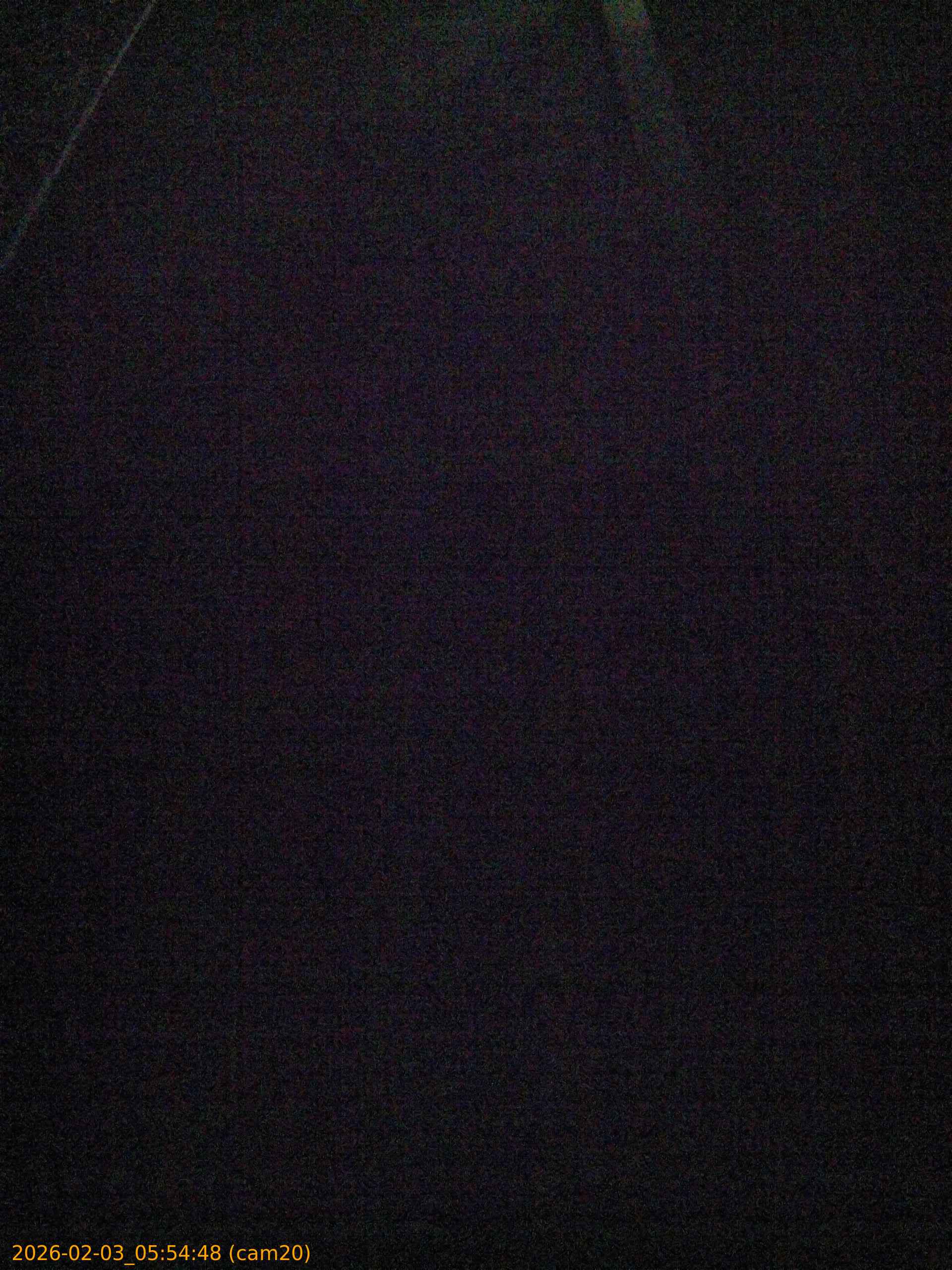 thumbnail_20260203055448