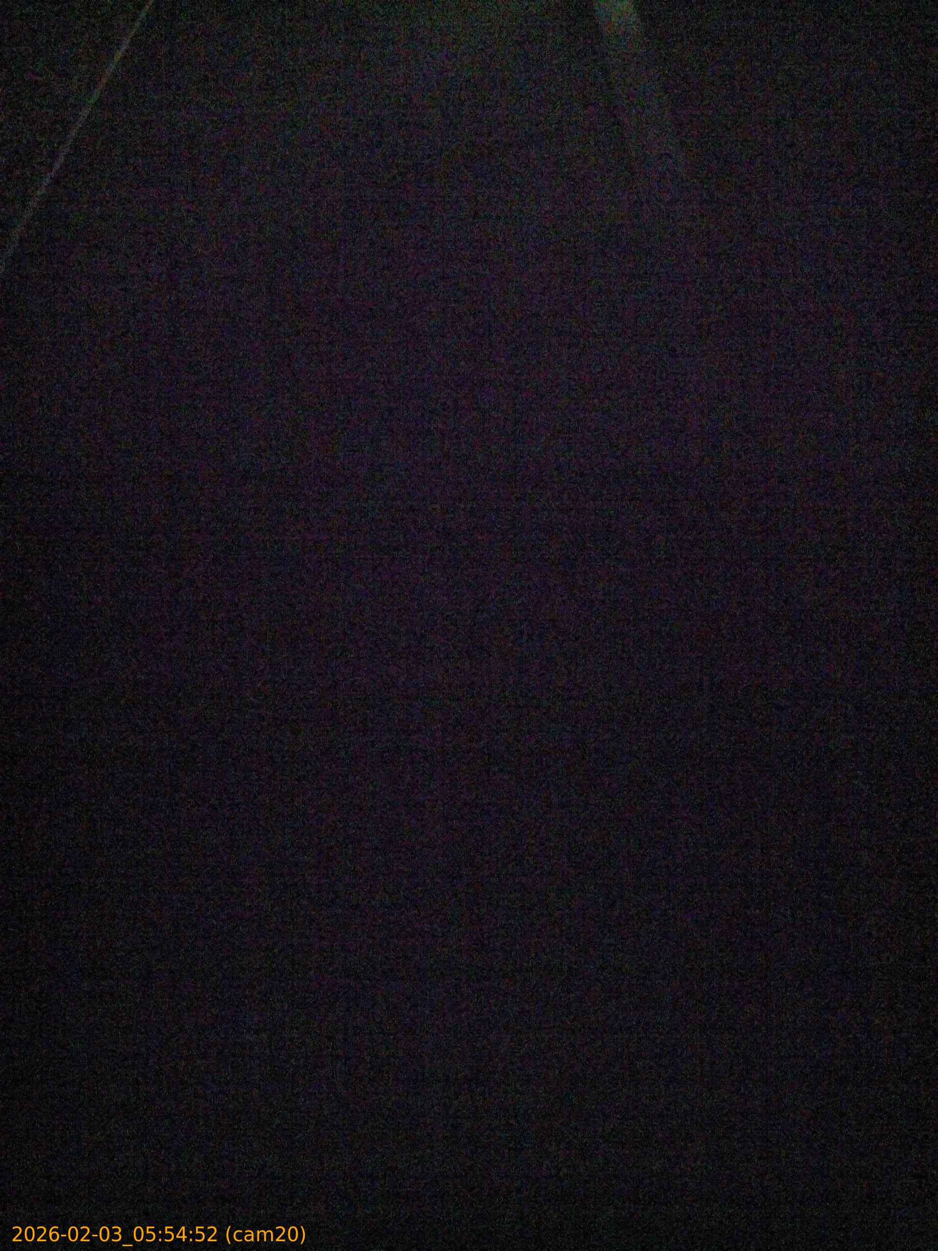 thumbnail_20260203055452