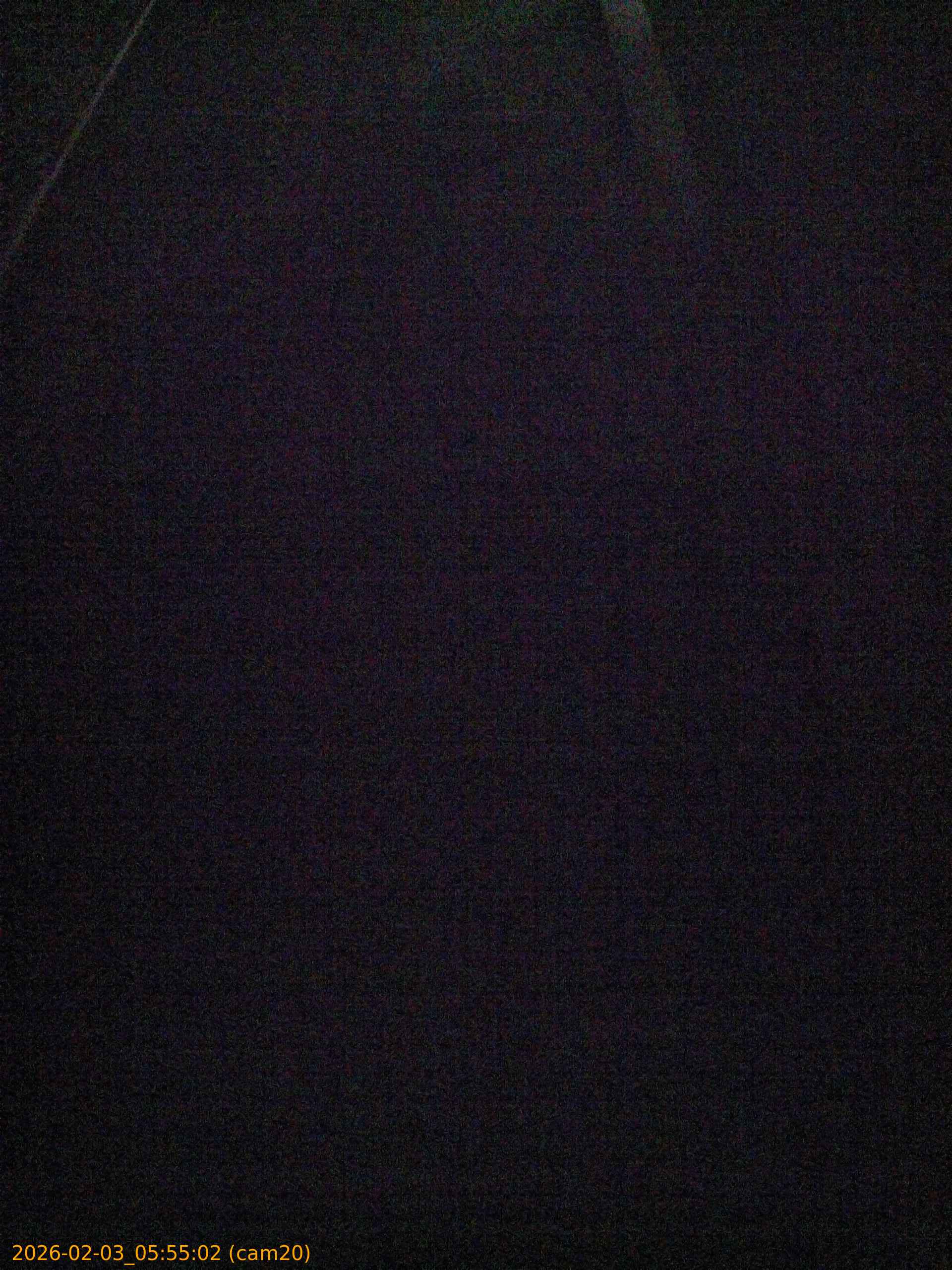 thumbnail_20260203055502