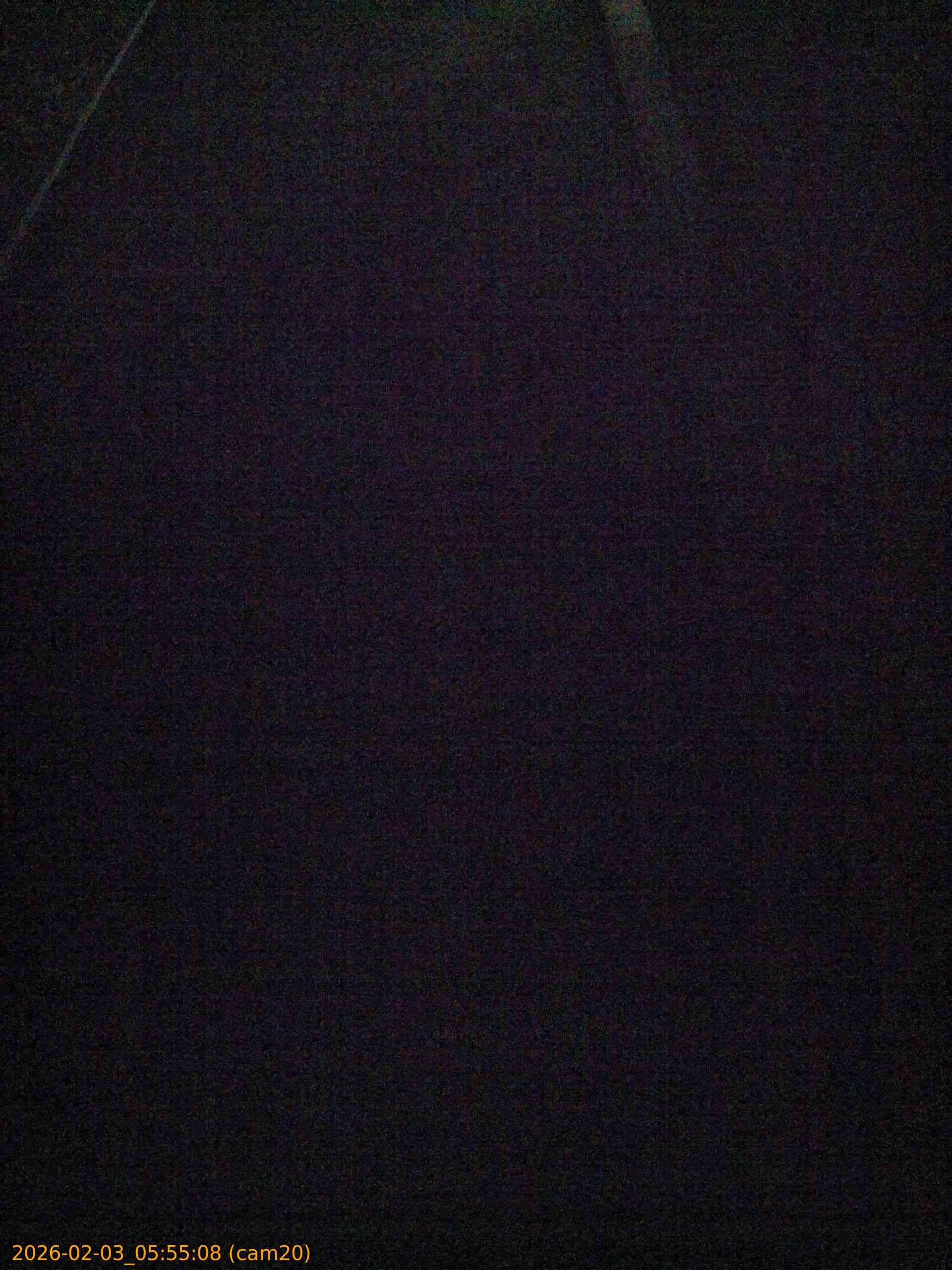 thumbnail_20260203055508