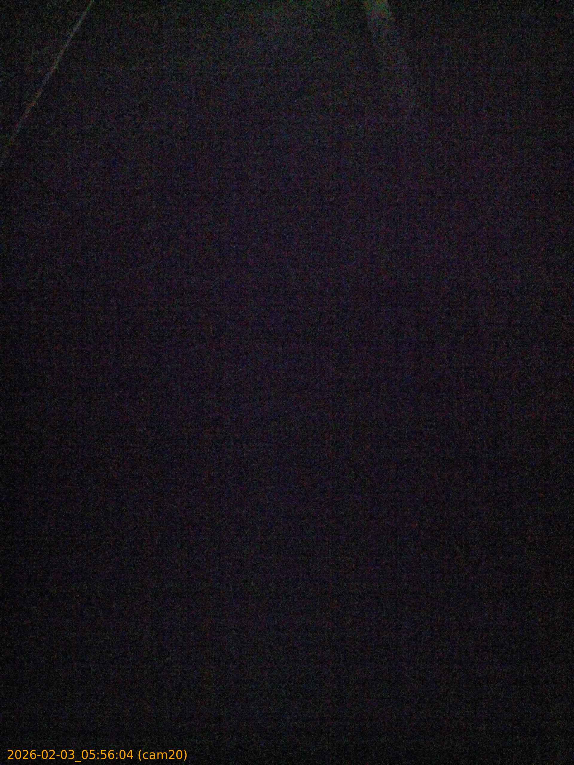 thumbnail_20260203055604