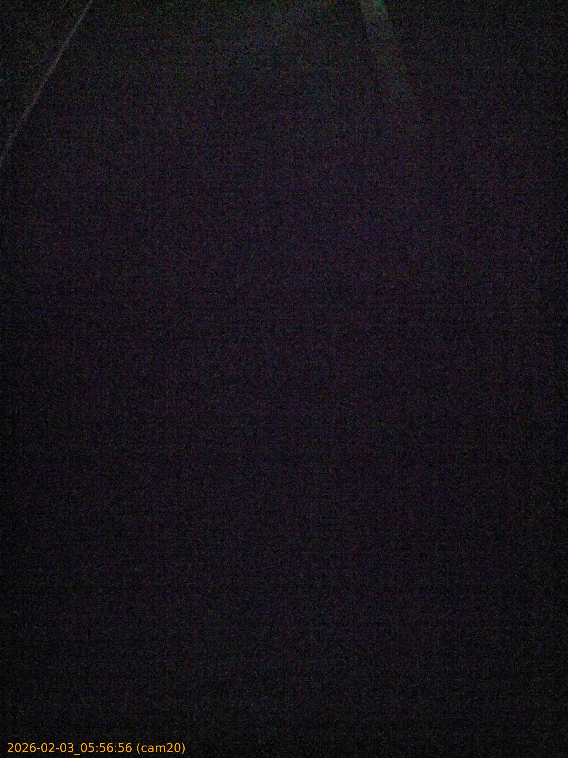 thumbnail_20260203055656