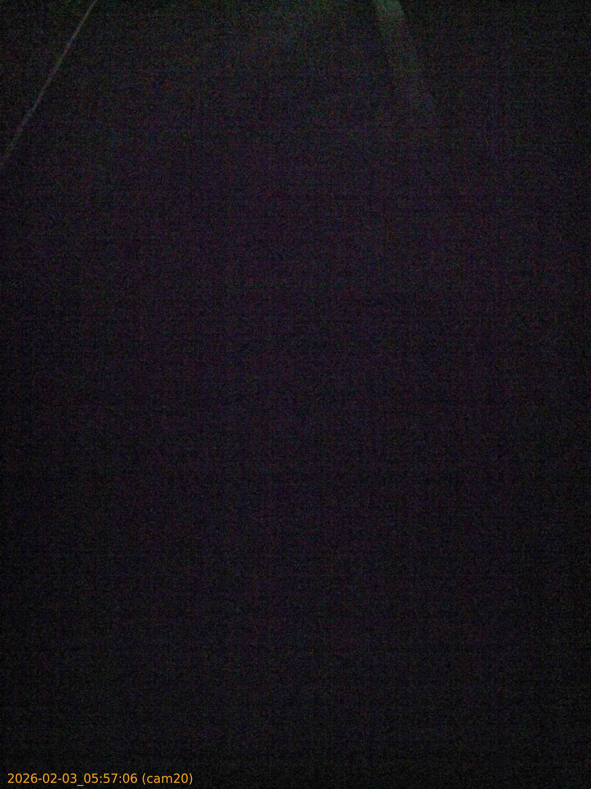 thumbnail_20260203055706