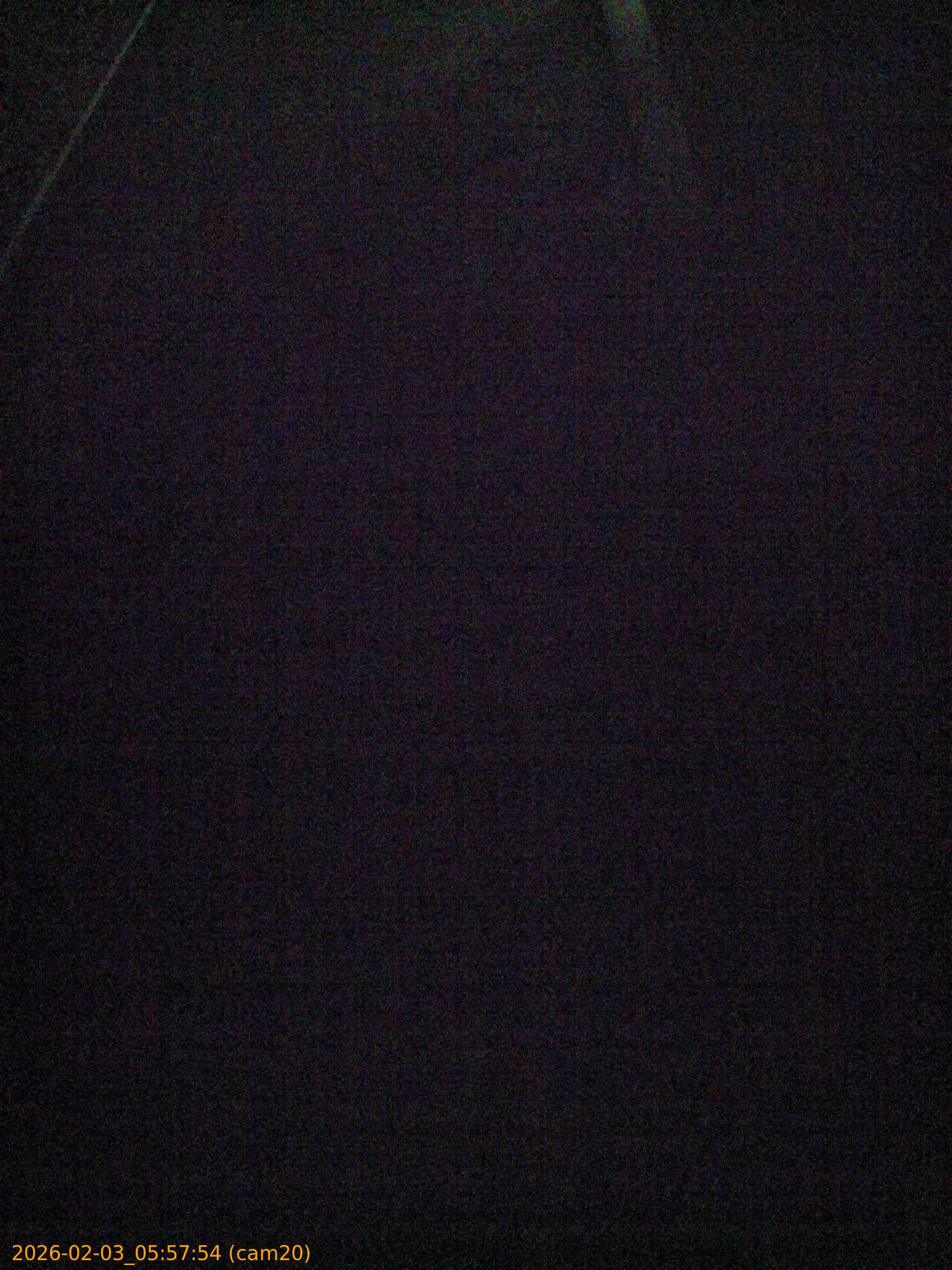 thumbnail_20260203055754