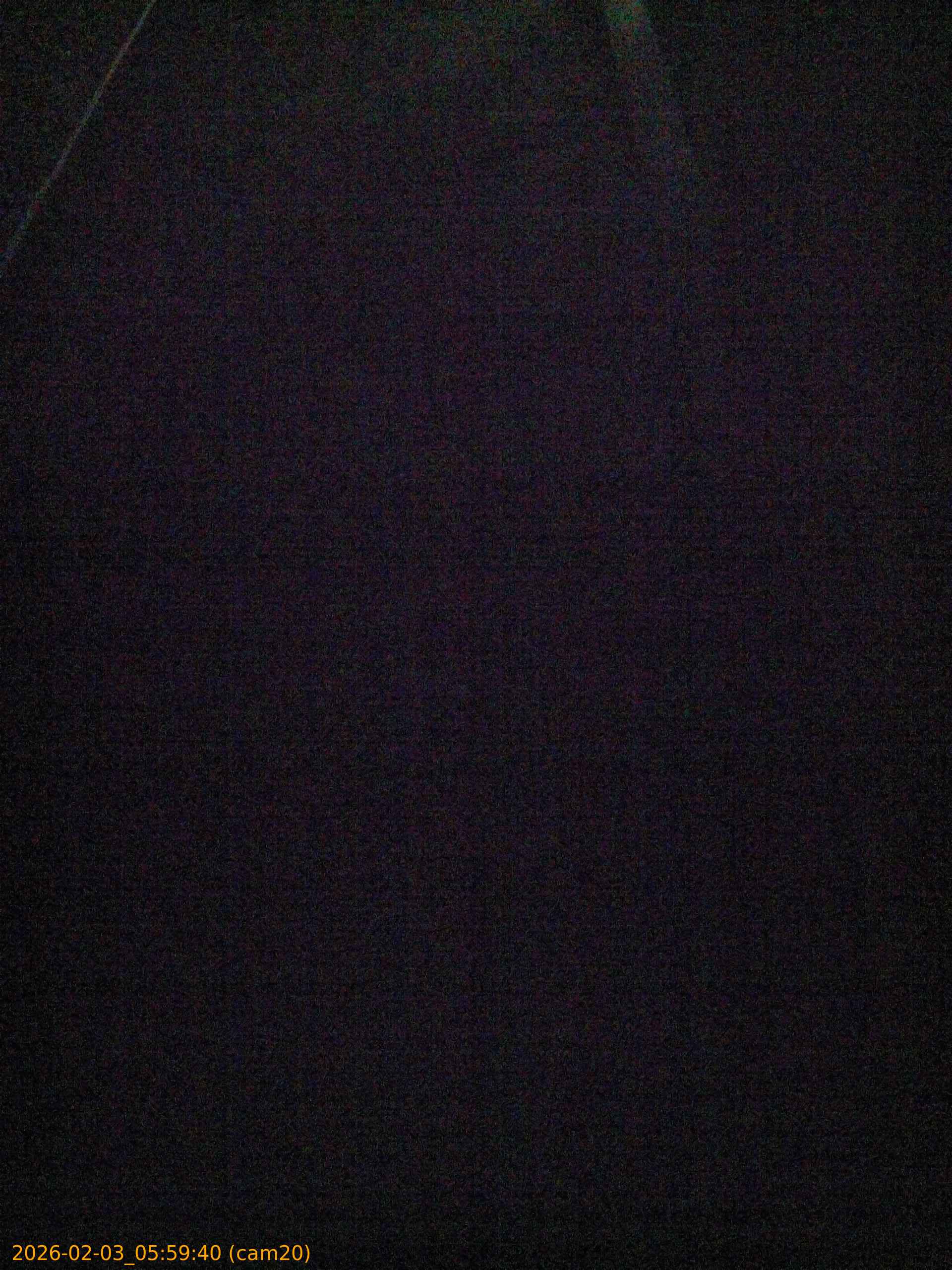 thumbnail_20260203055940