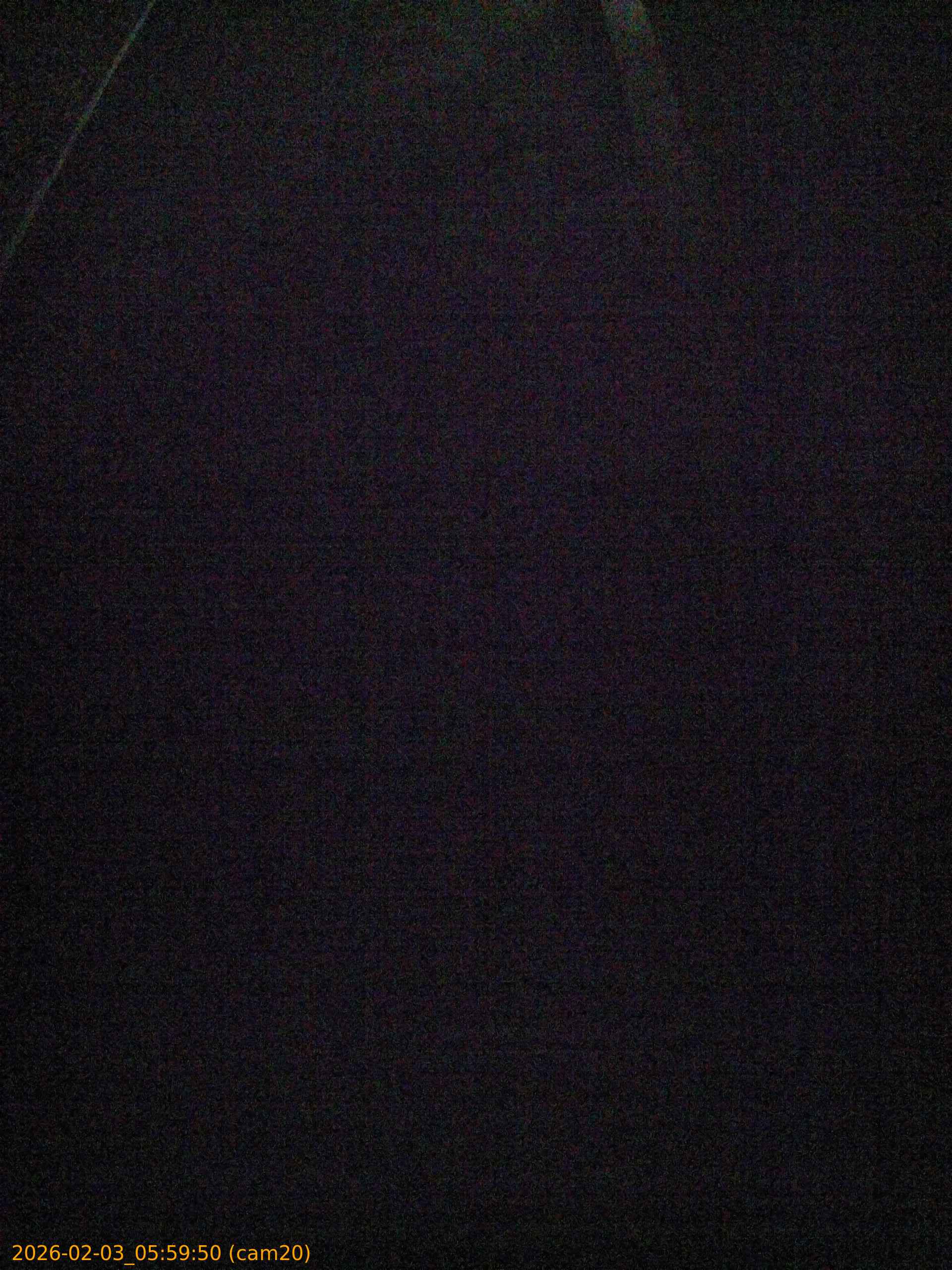 thumbnail_20260203055950