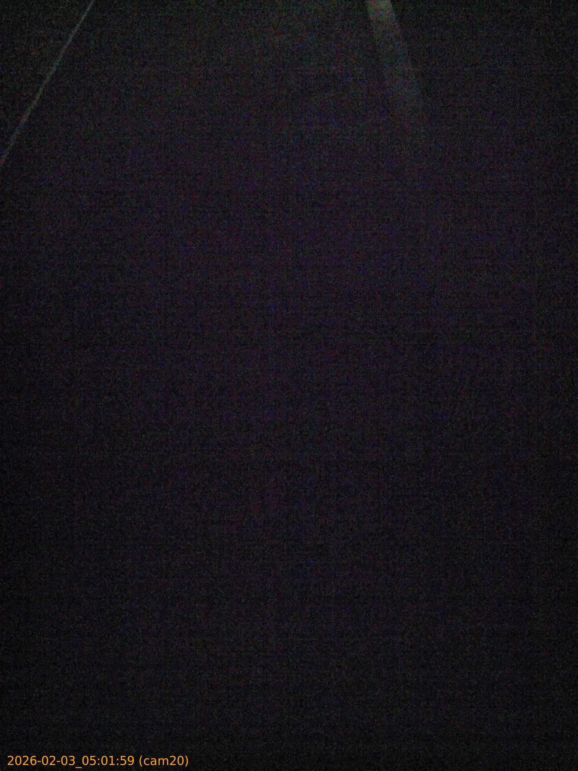 thumbnail_202602030501